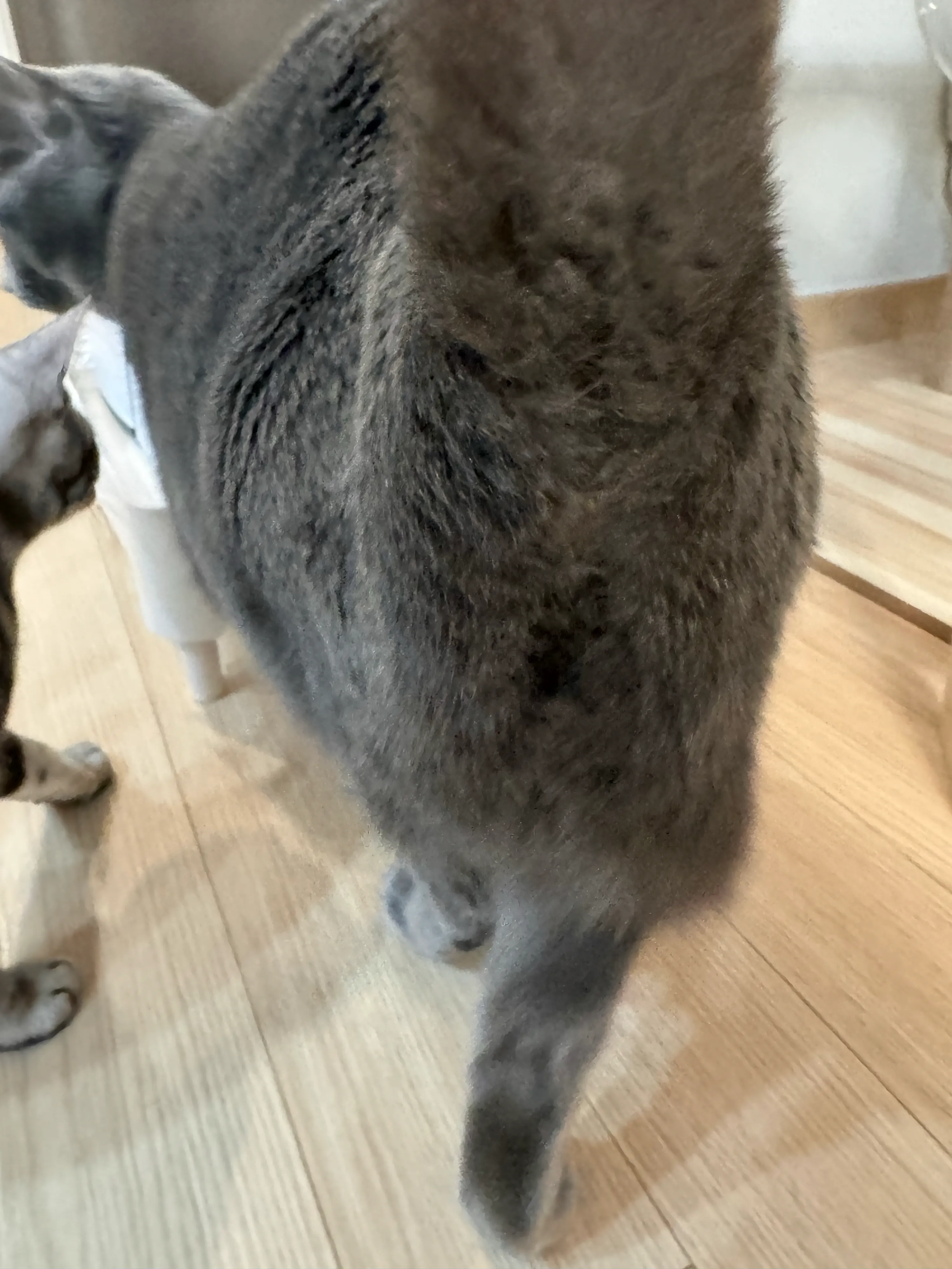 2번째 파일