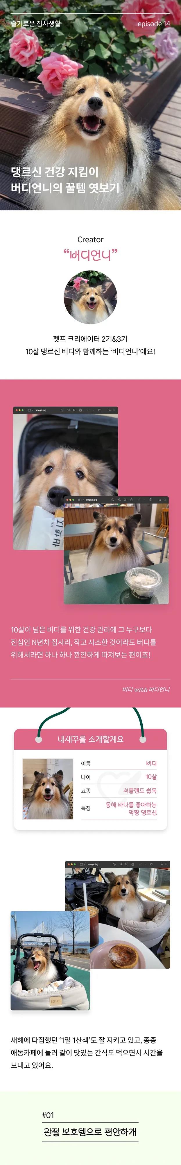 1번째 파일