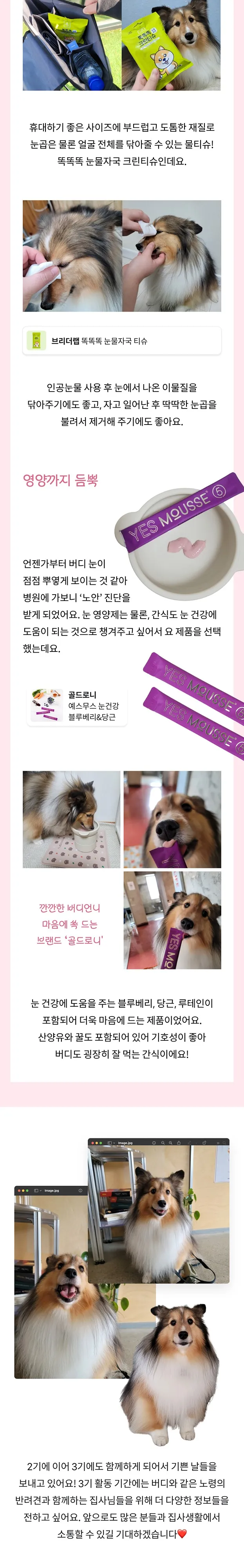 4번째 파일