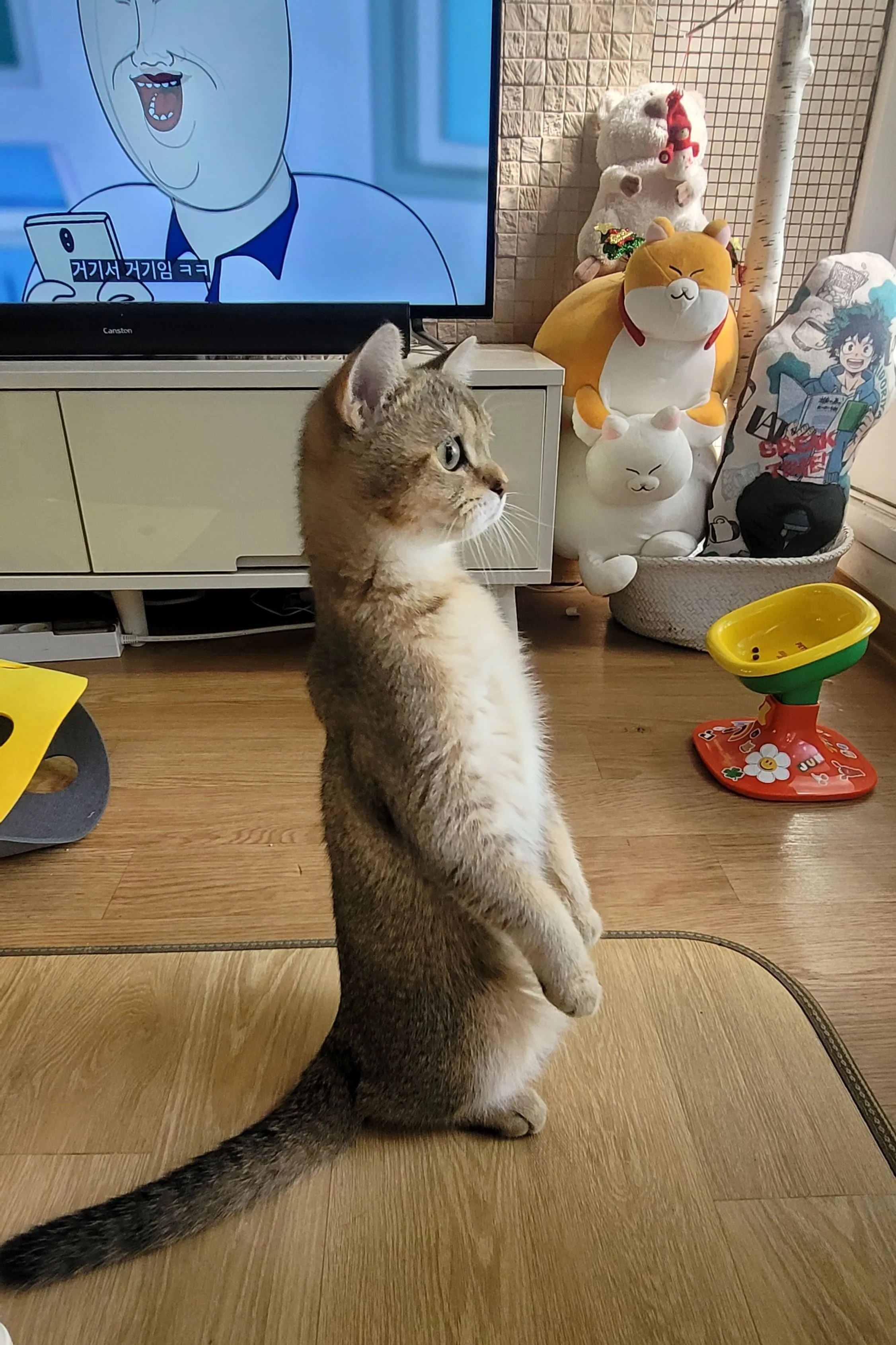 1번째 파일