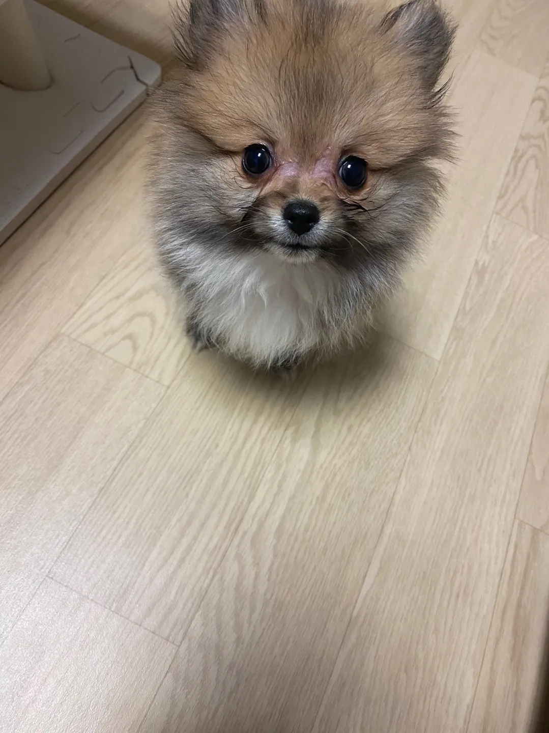 1번째 파일