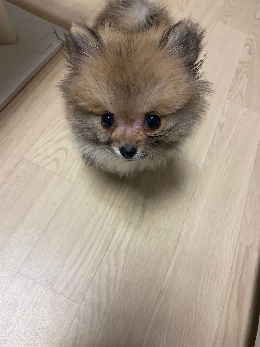 2번째 파일