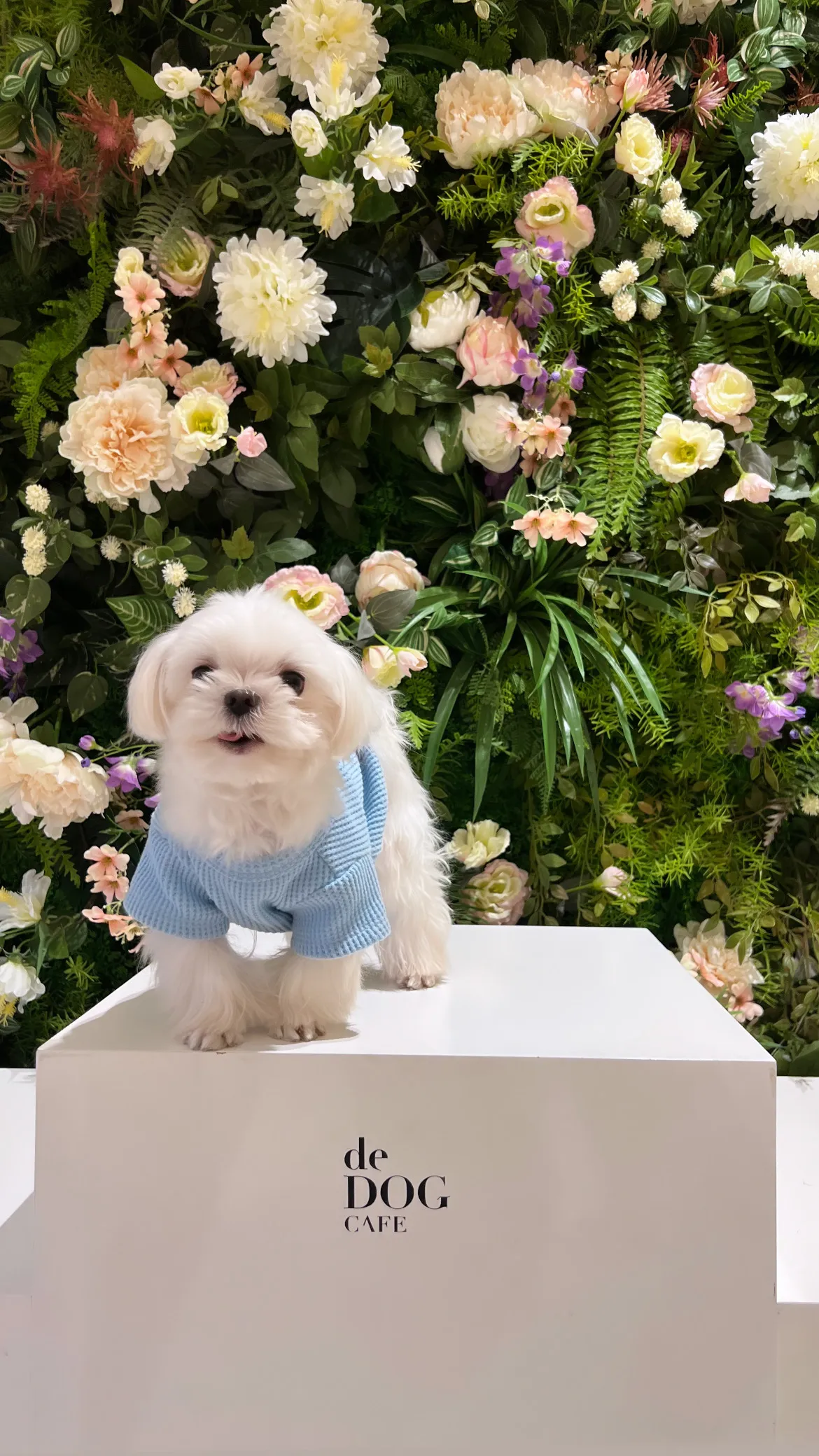5번째 파일