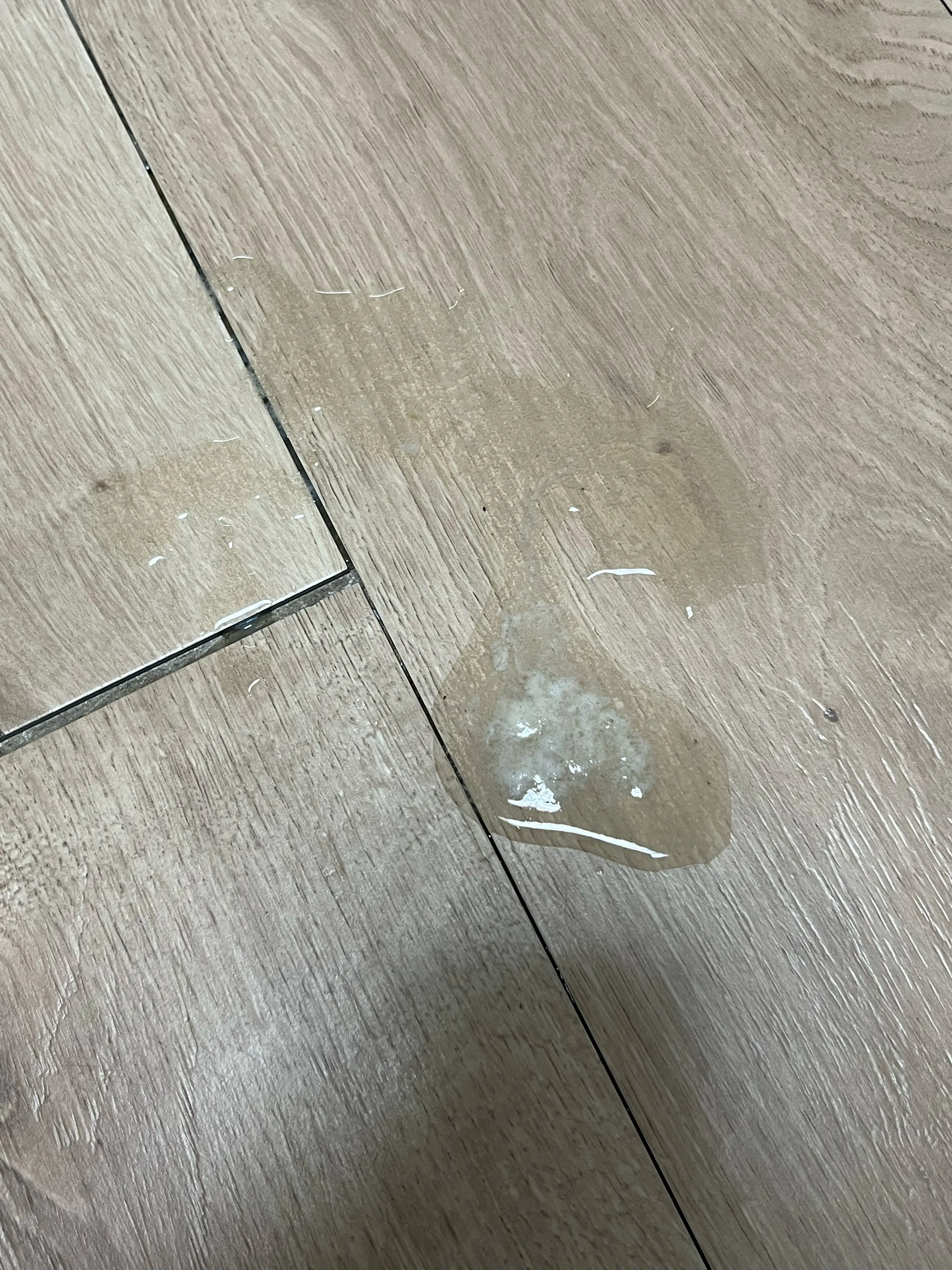 1번째 파일