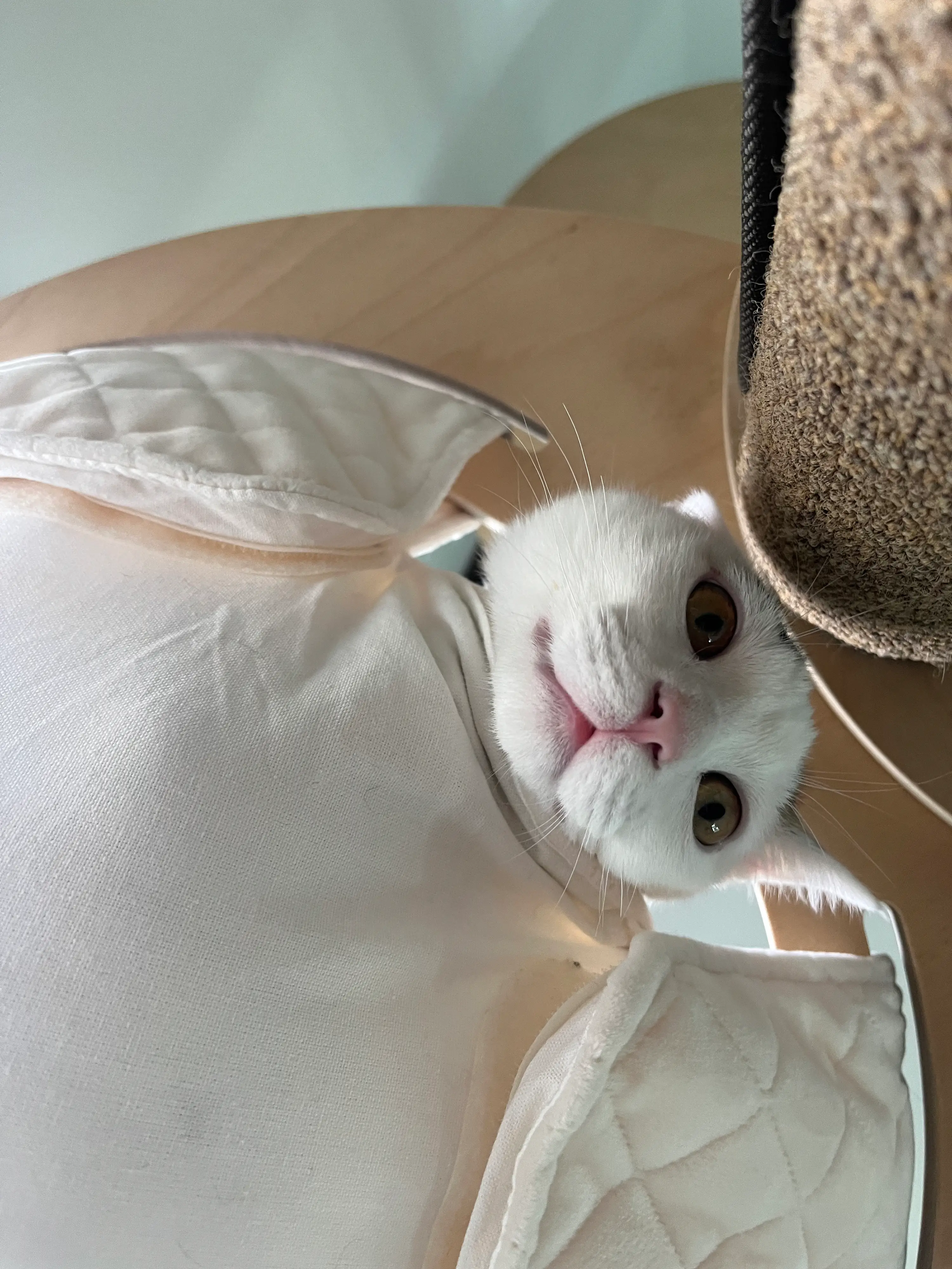 5번째 파일