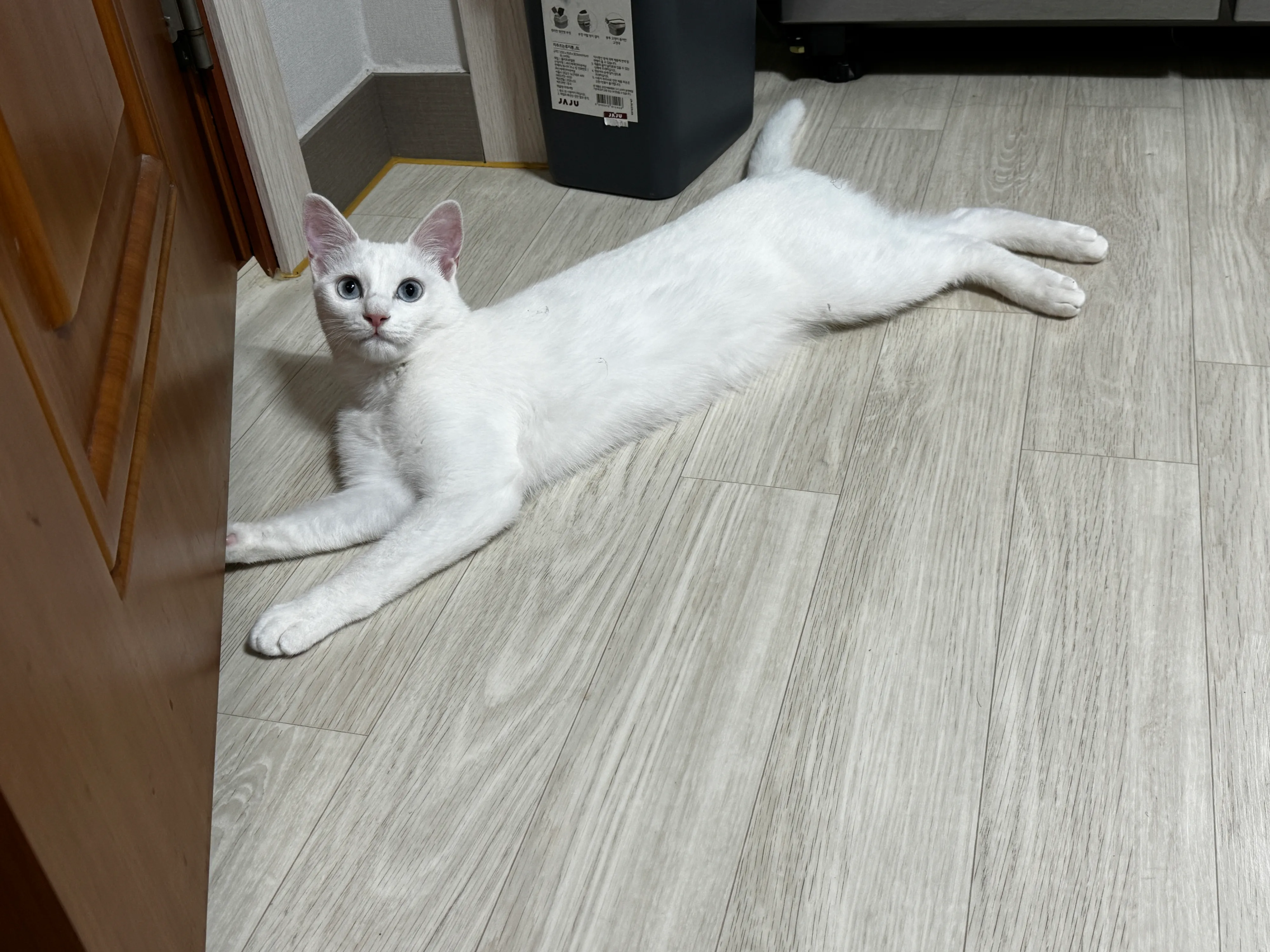 1번째 파일