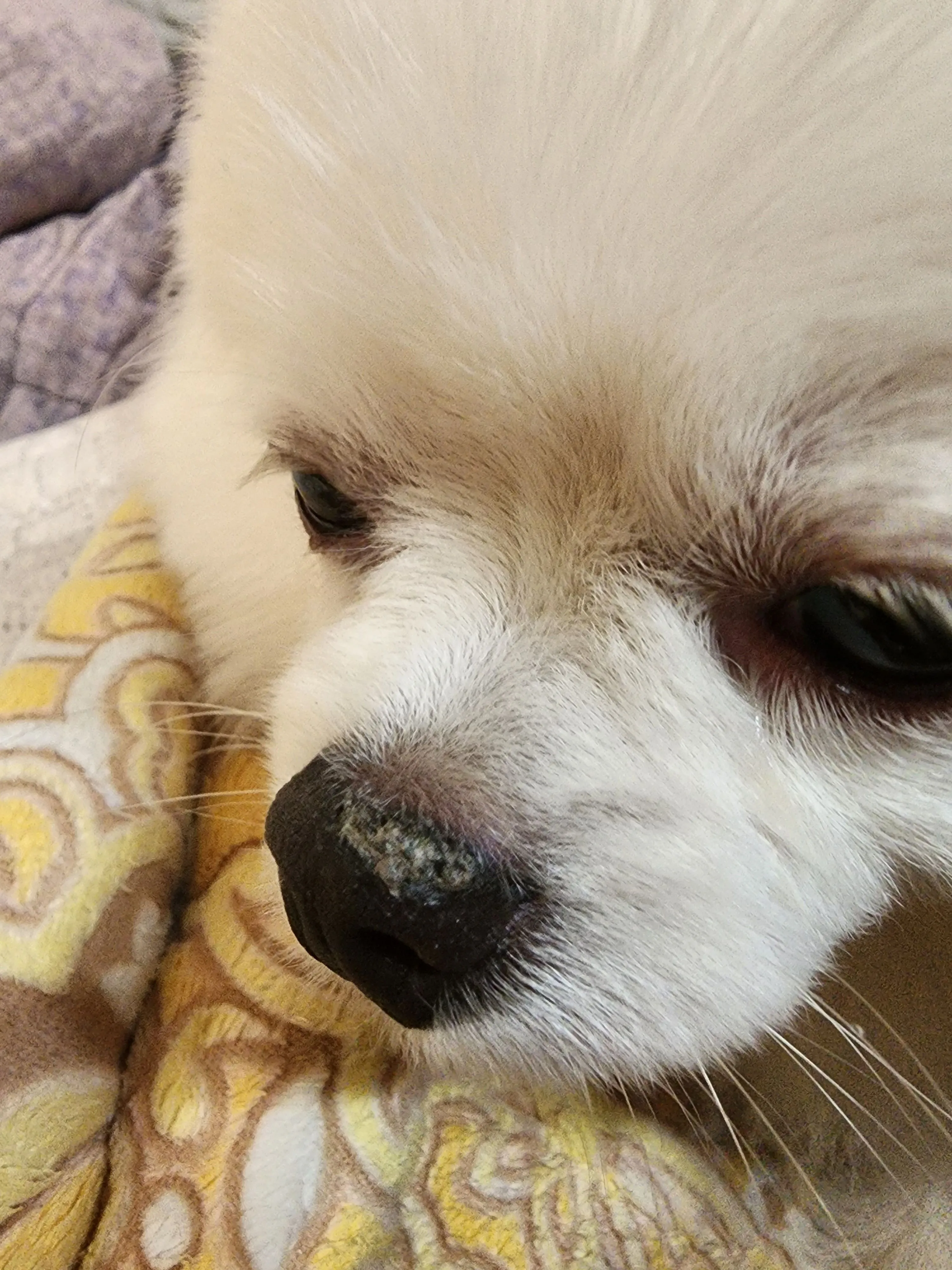 1번째 파일