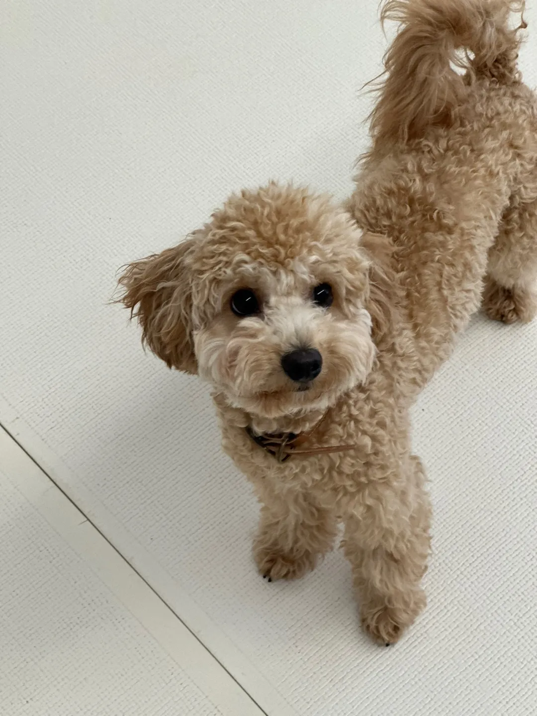 4번째 파일