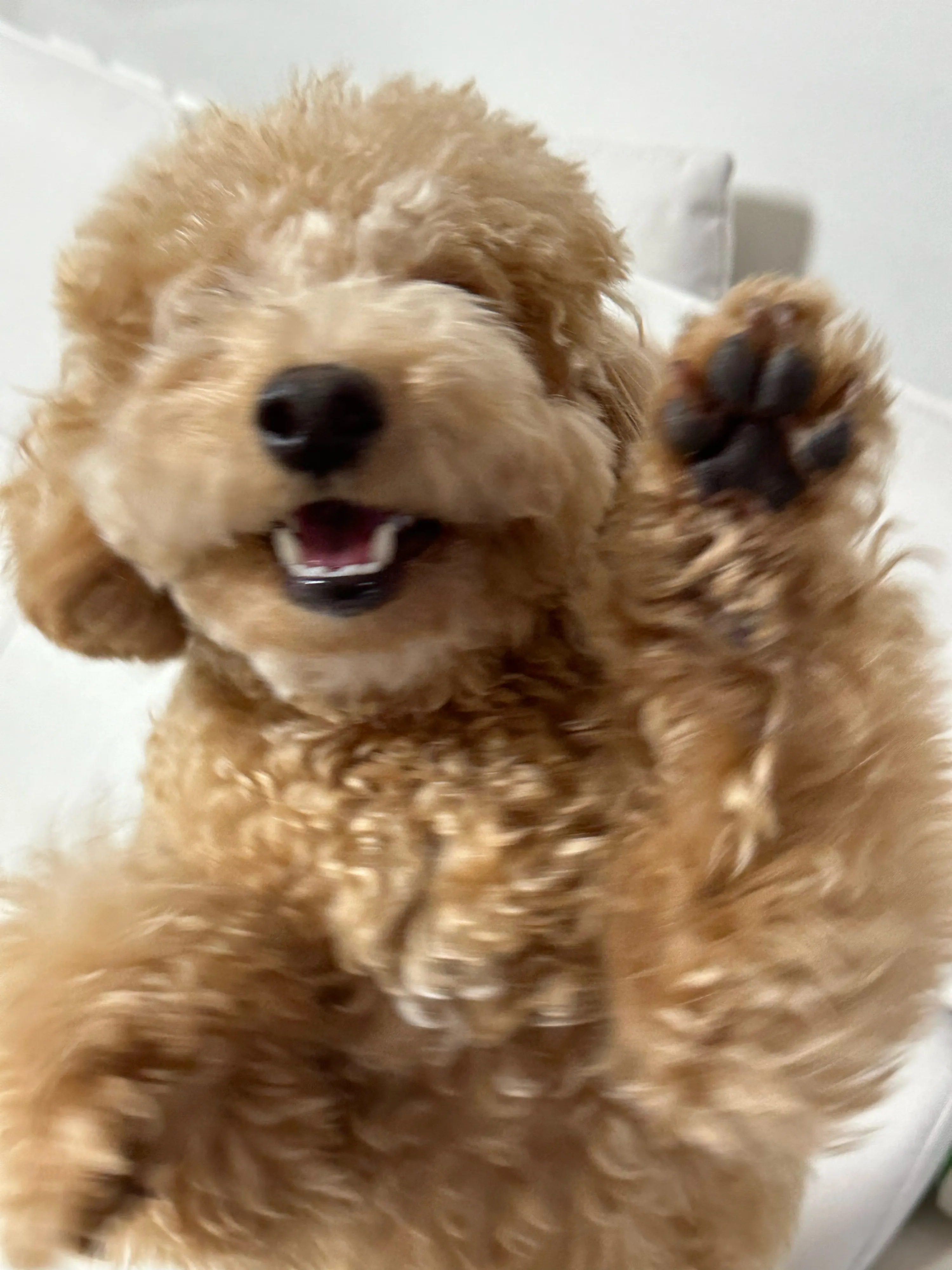 1번째 파일