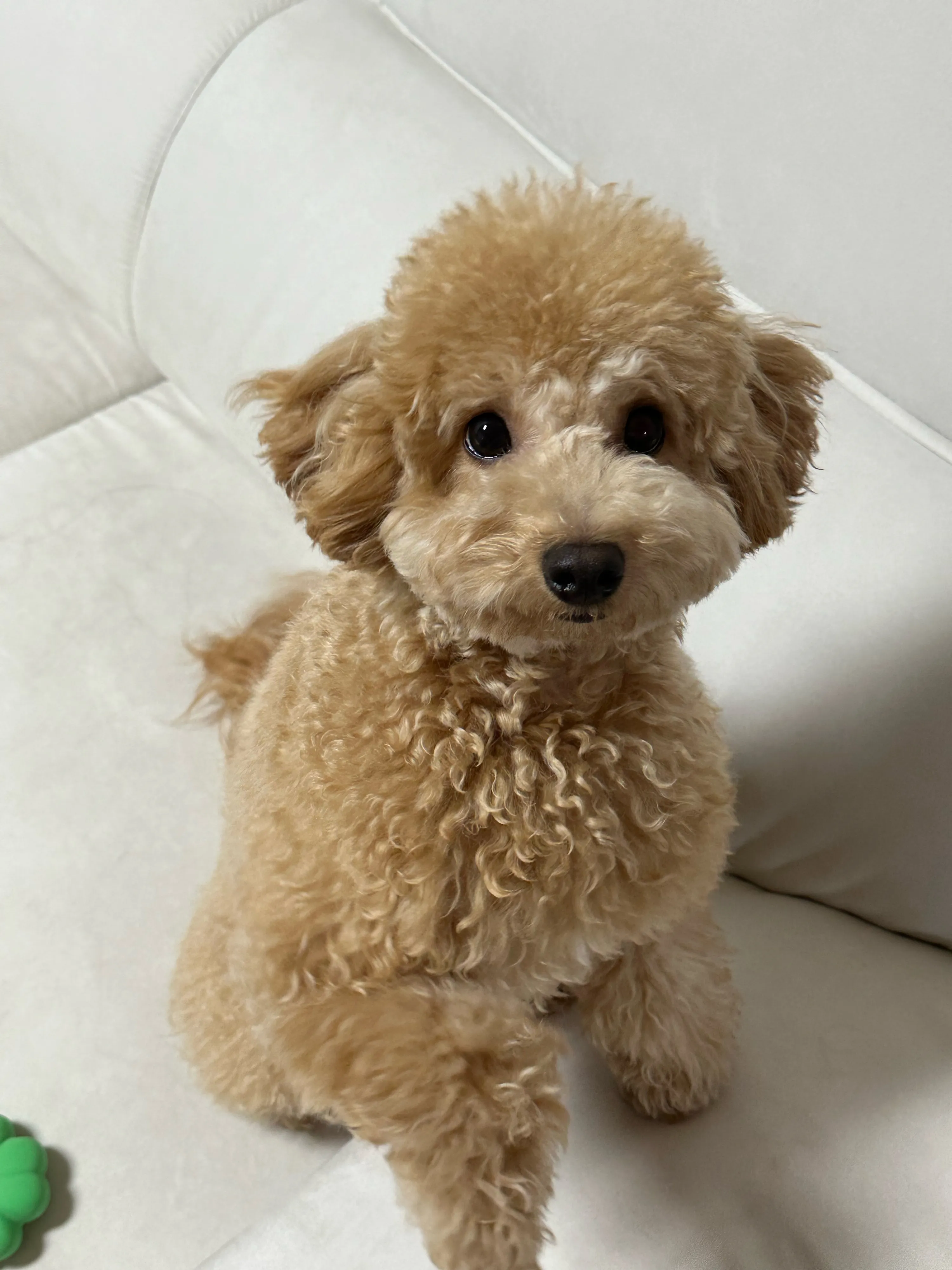 2번째 파일
