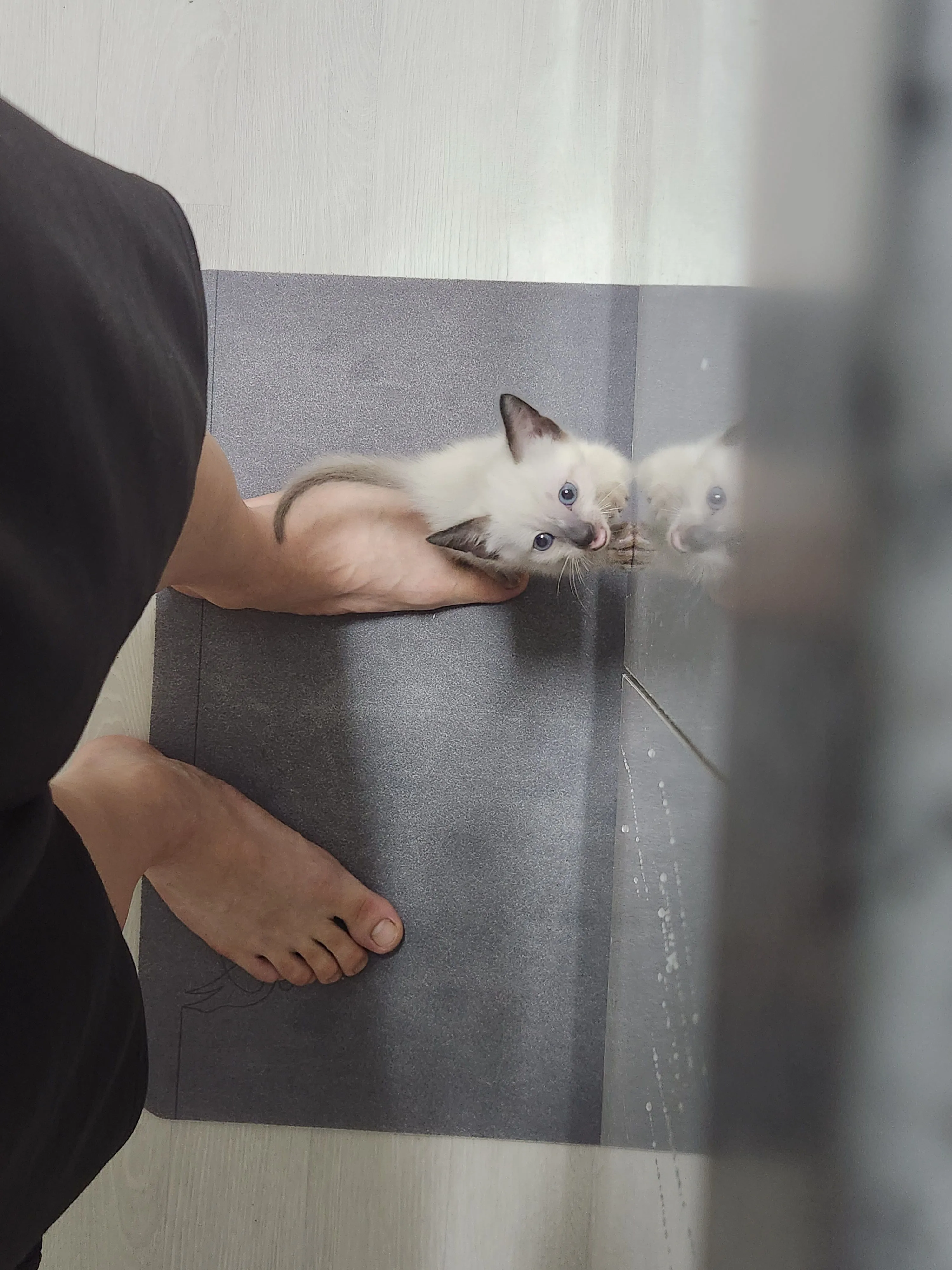 1번째 파일
