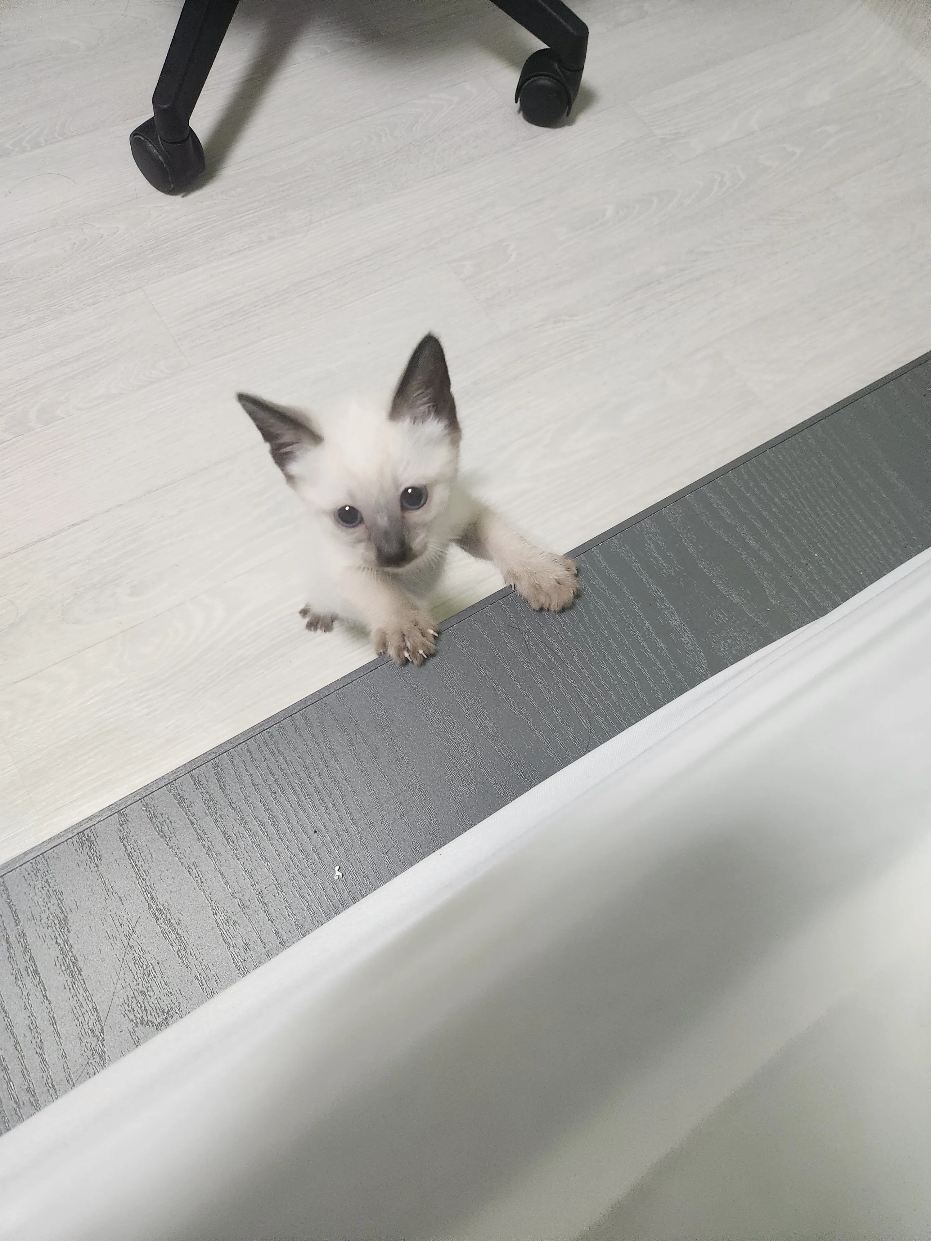 1번째 파일