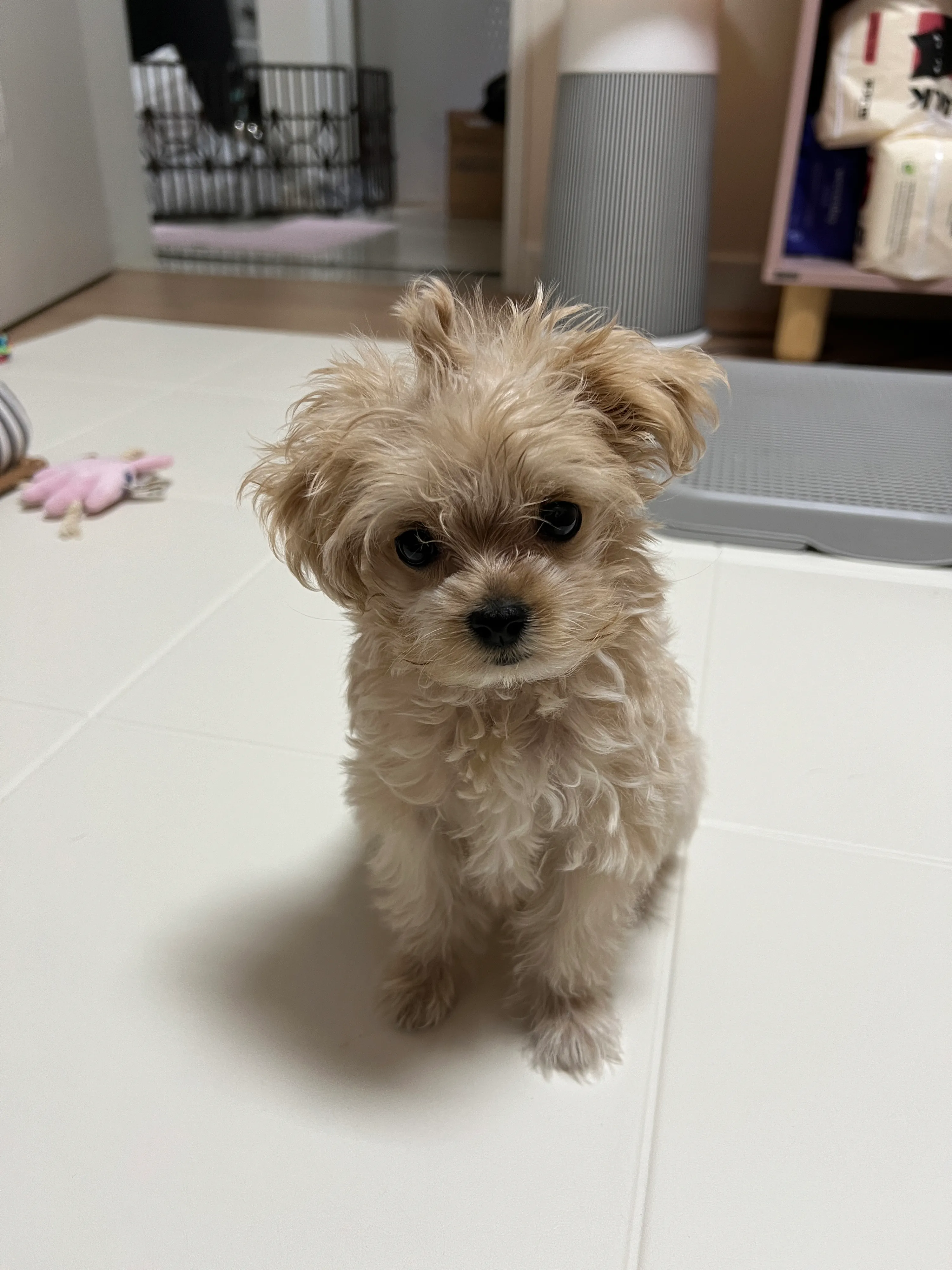 1번째 파일