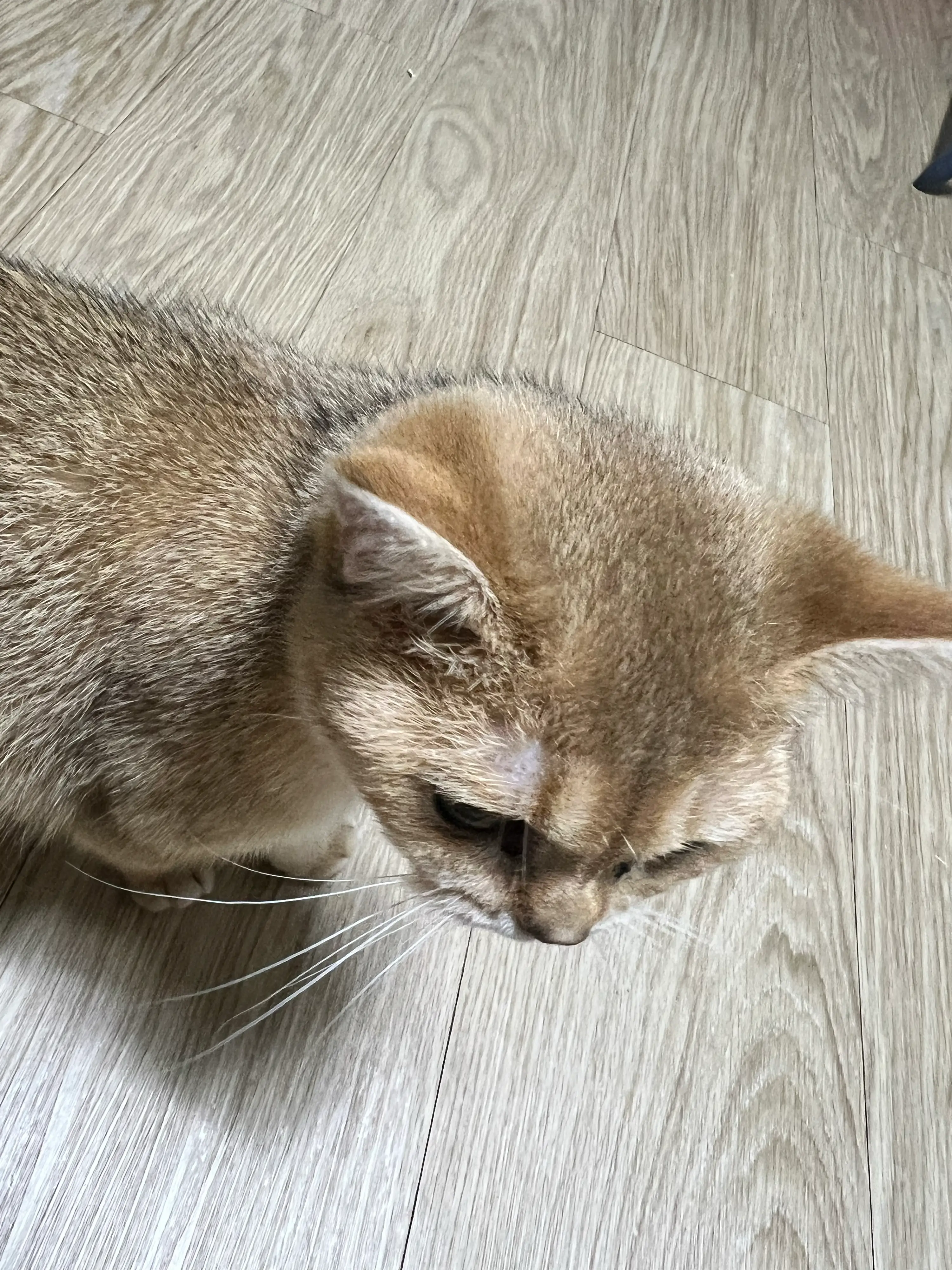 1번째 파일