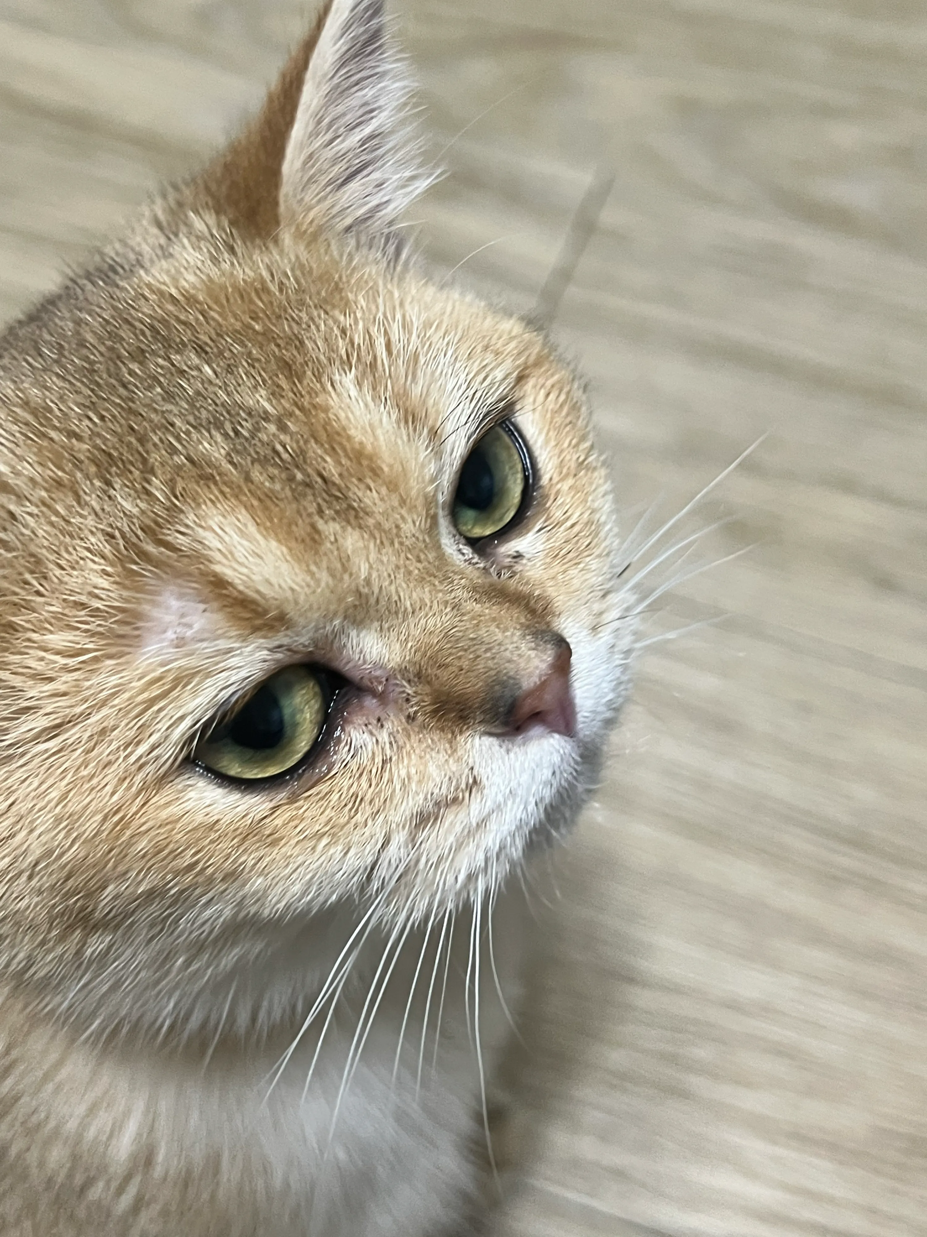 2번째 파일