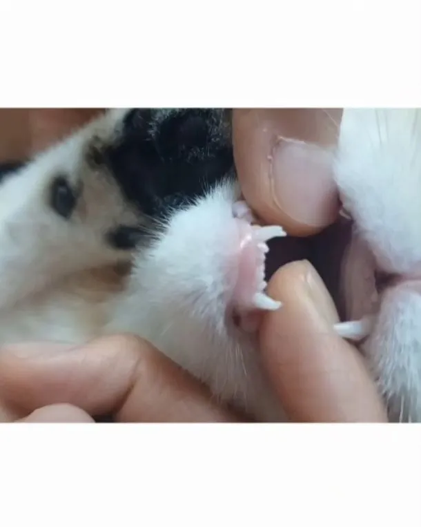 3번째 파일
