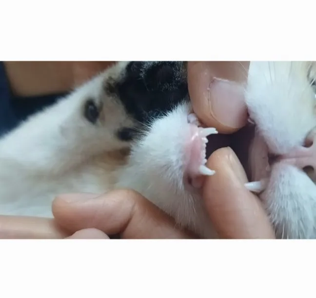 1번째 파일