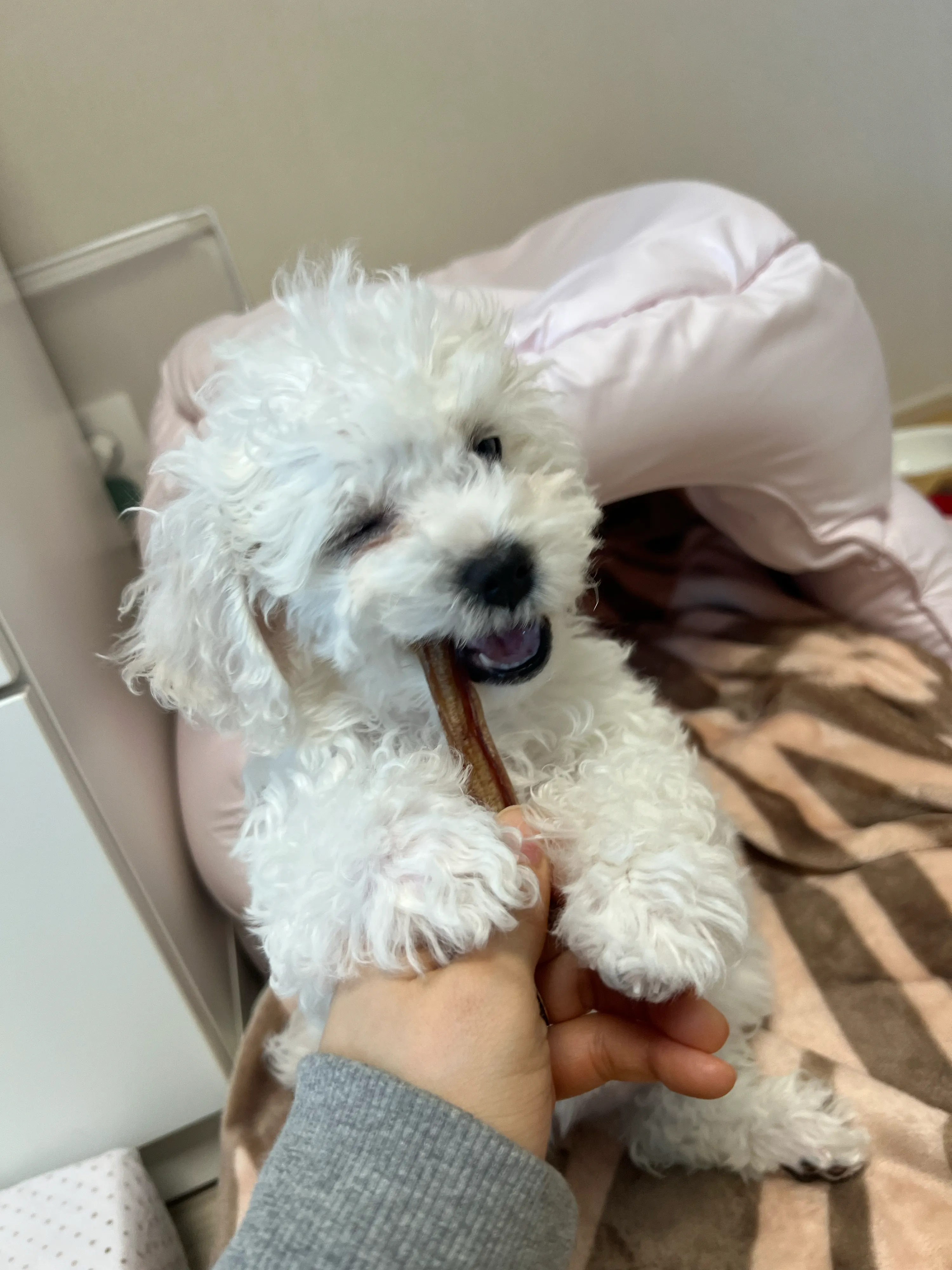 1번째 파일