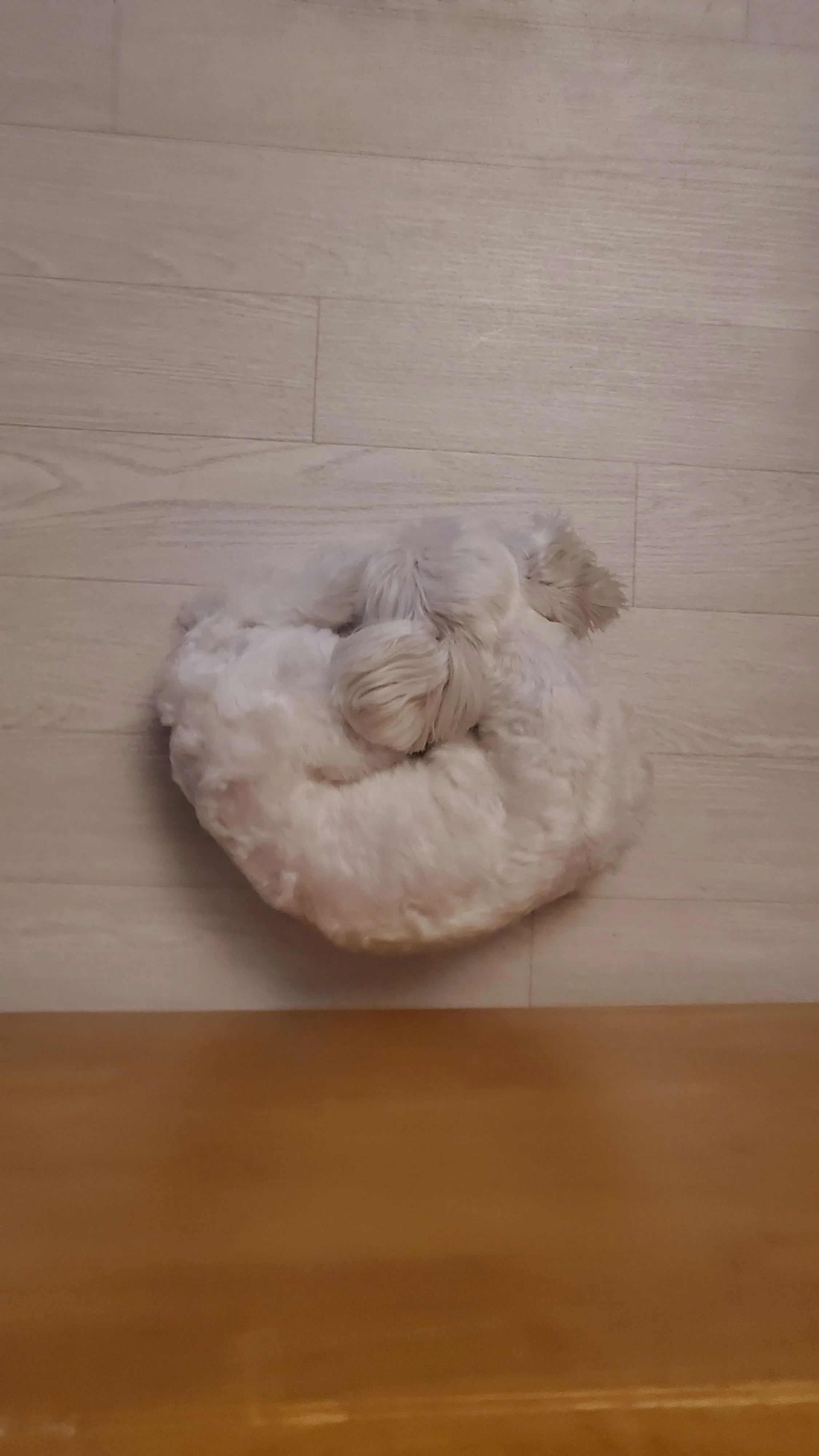 1번째 파일
