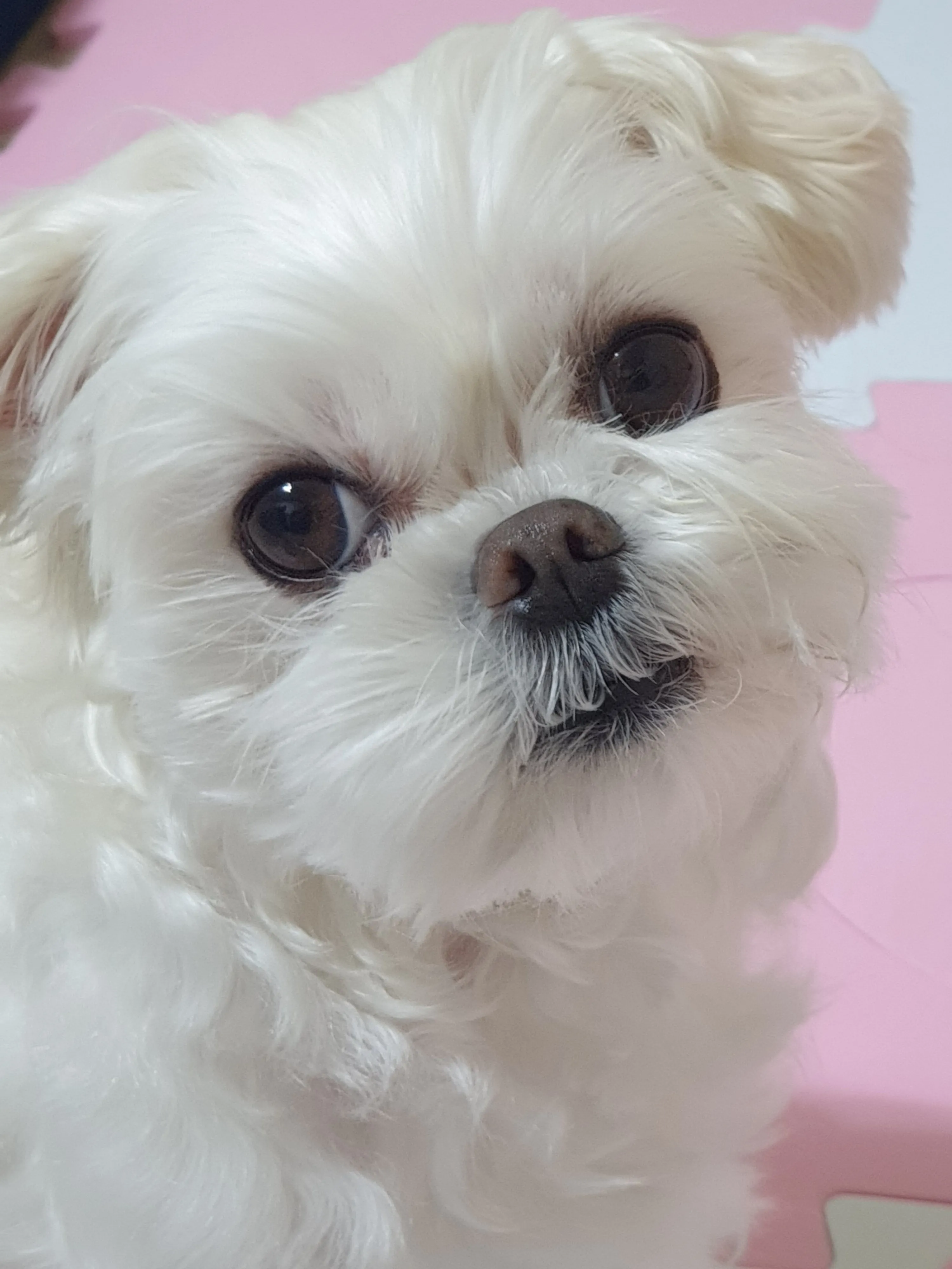 1번째 파일
