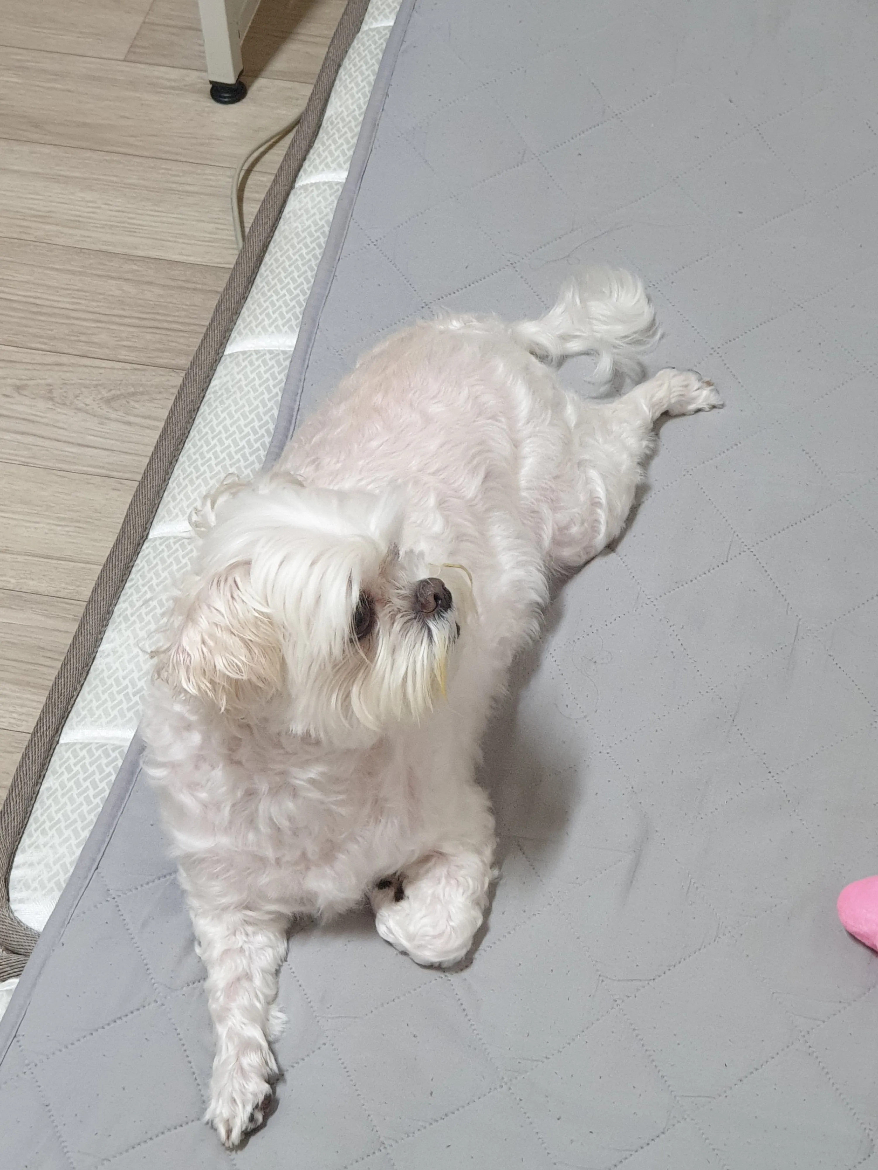 1번째 파일