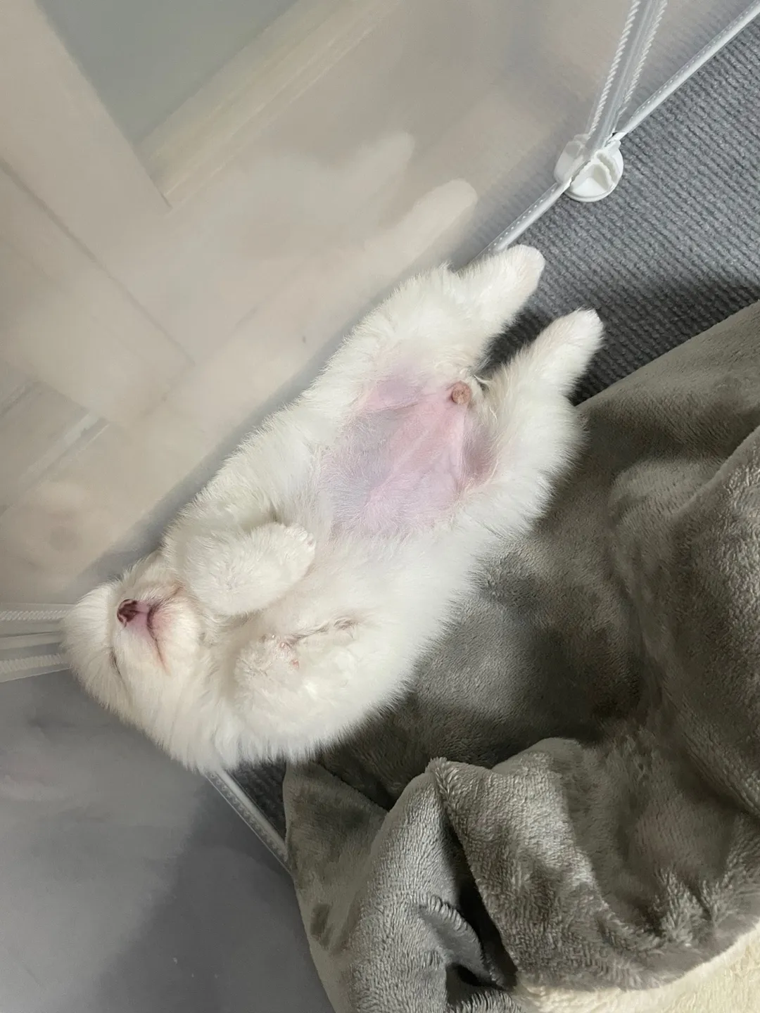 4번째 파일