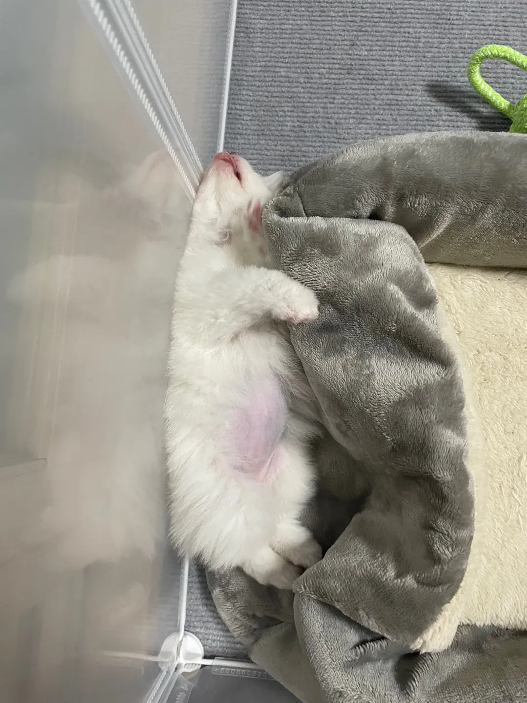 5번째 파일