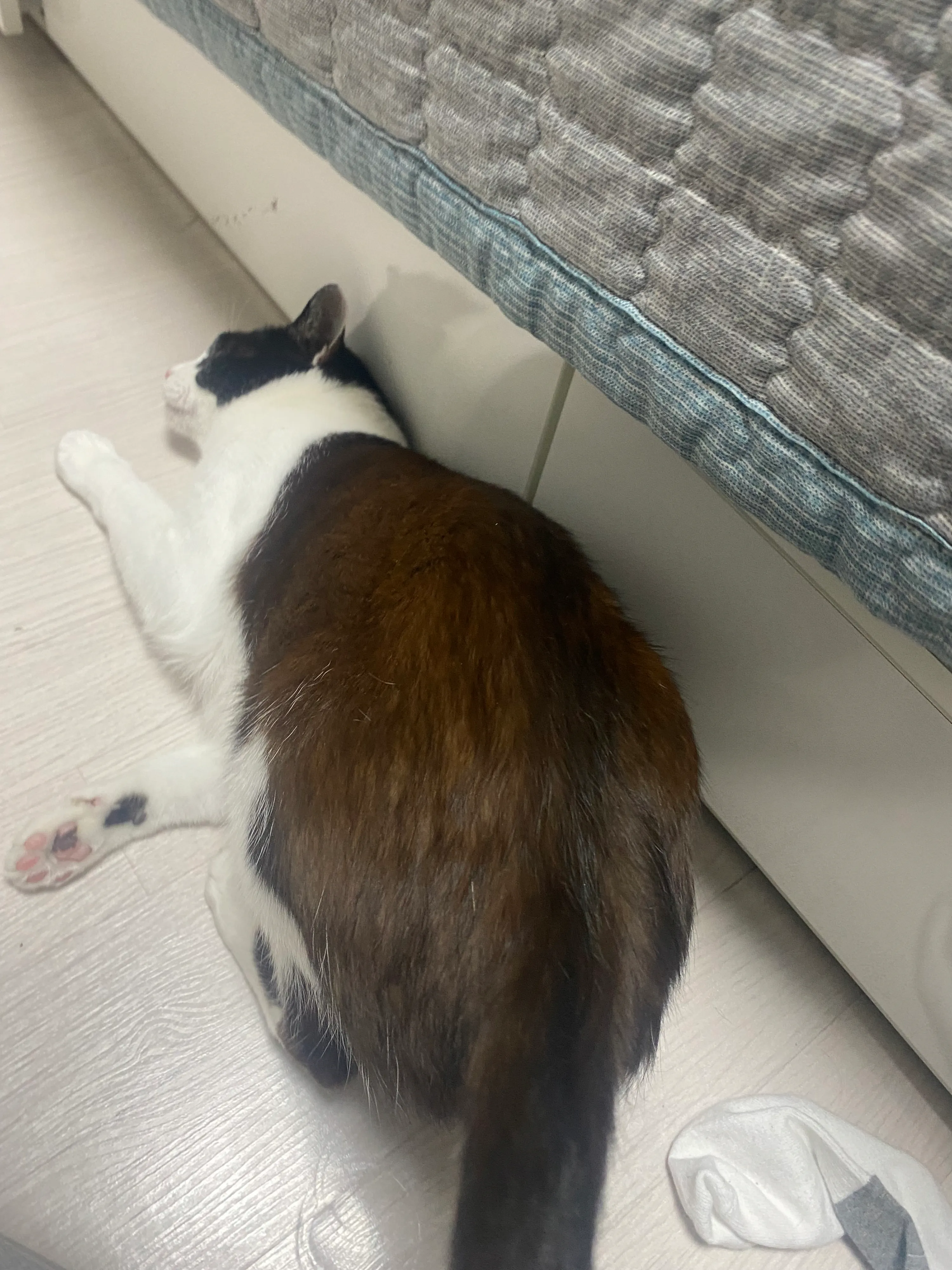 2번째 파일