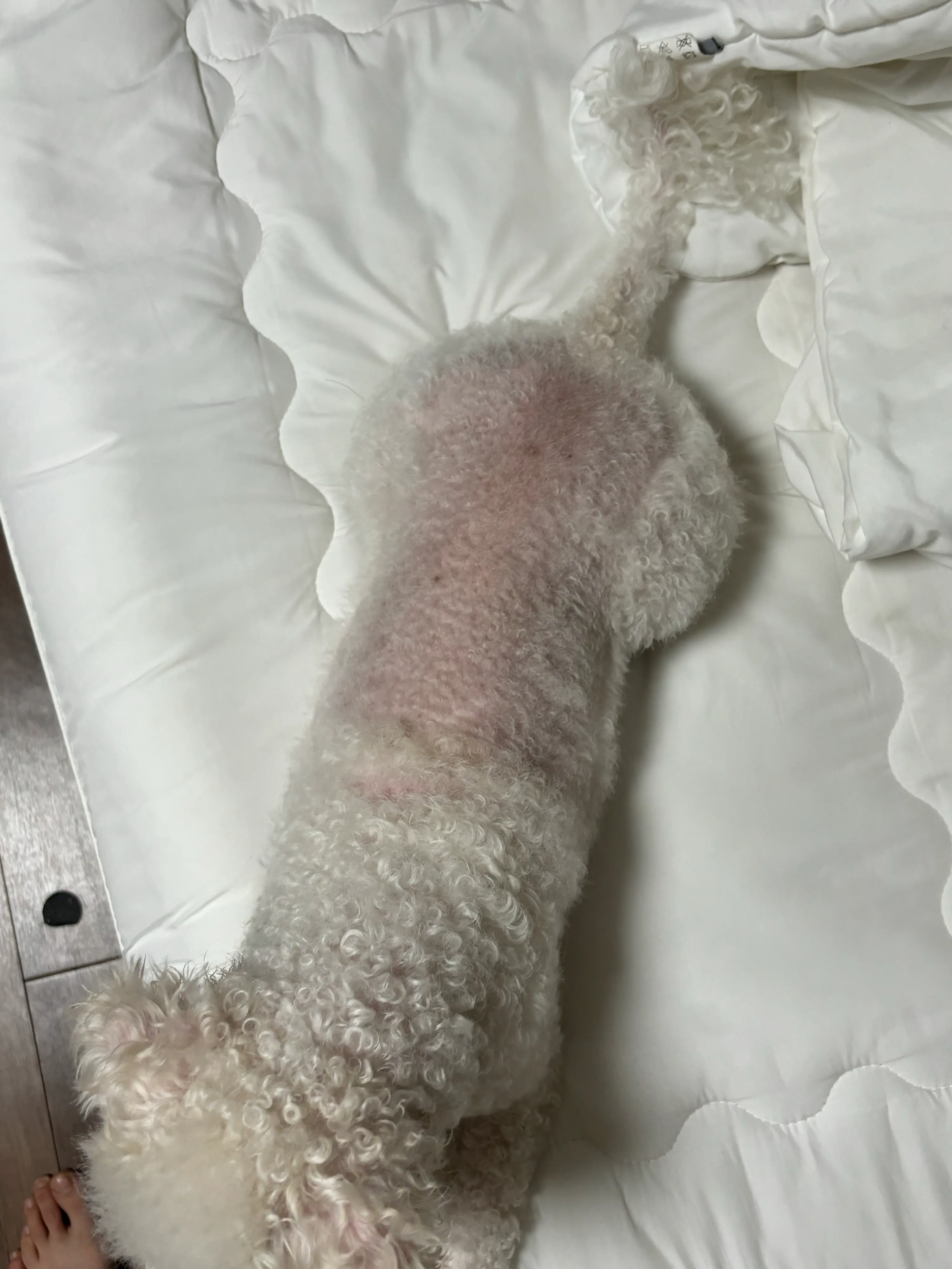 3번째 파일