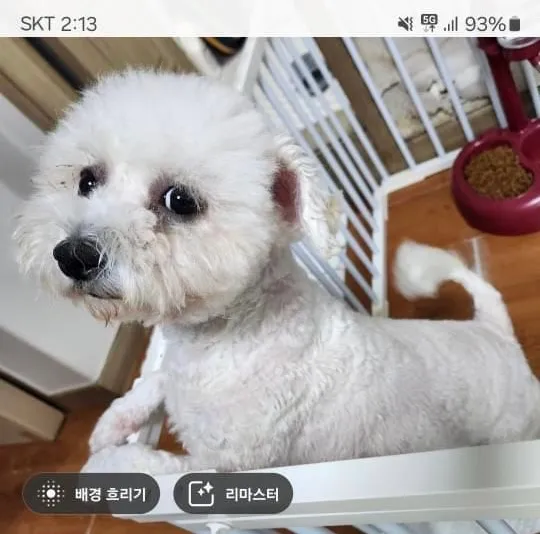 5번째 파일