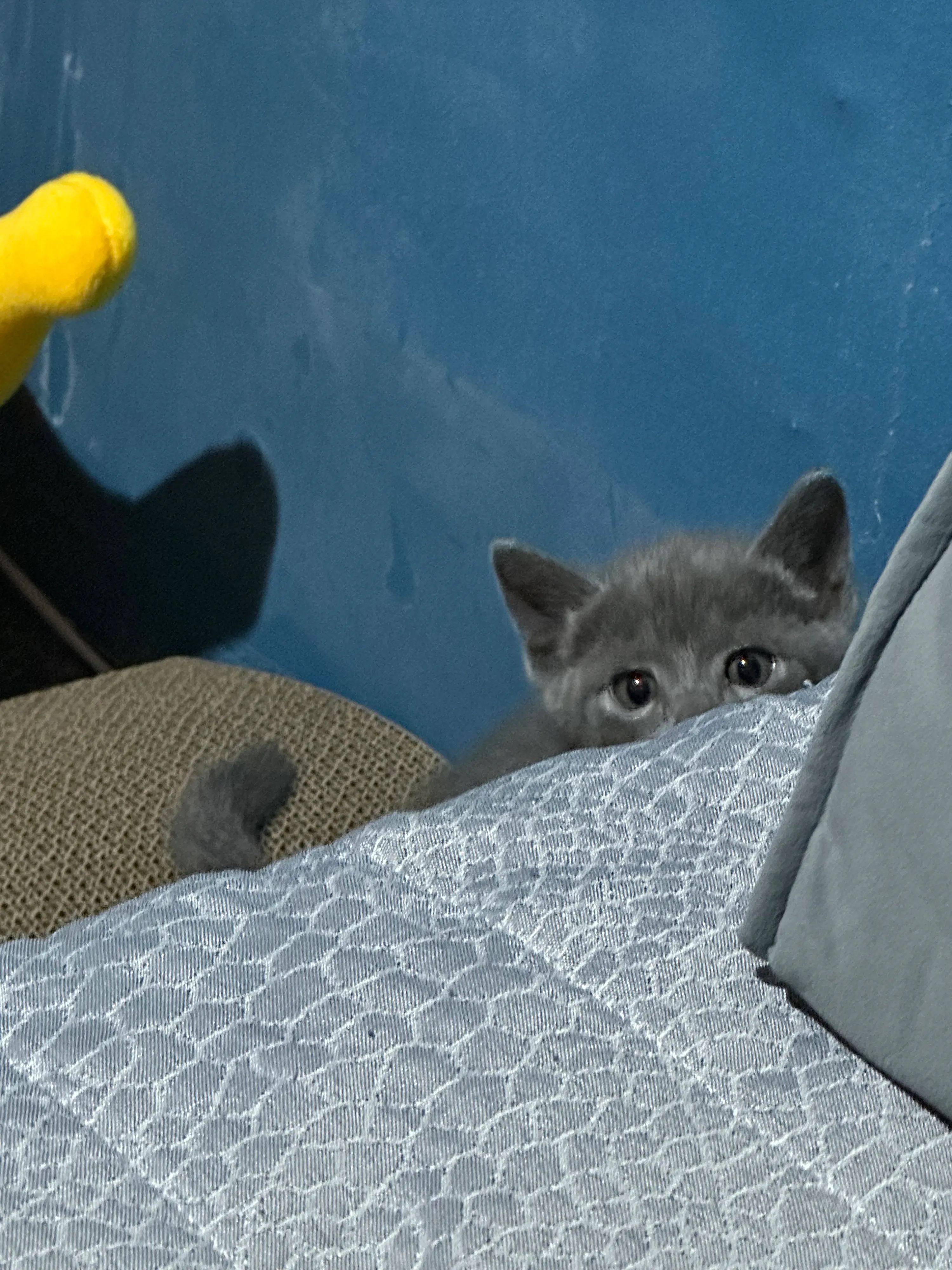 1번째 파일