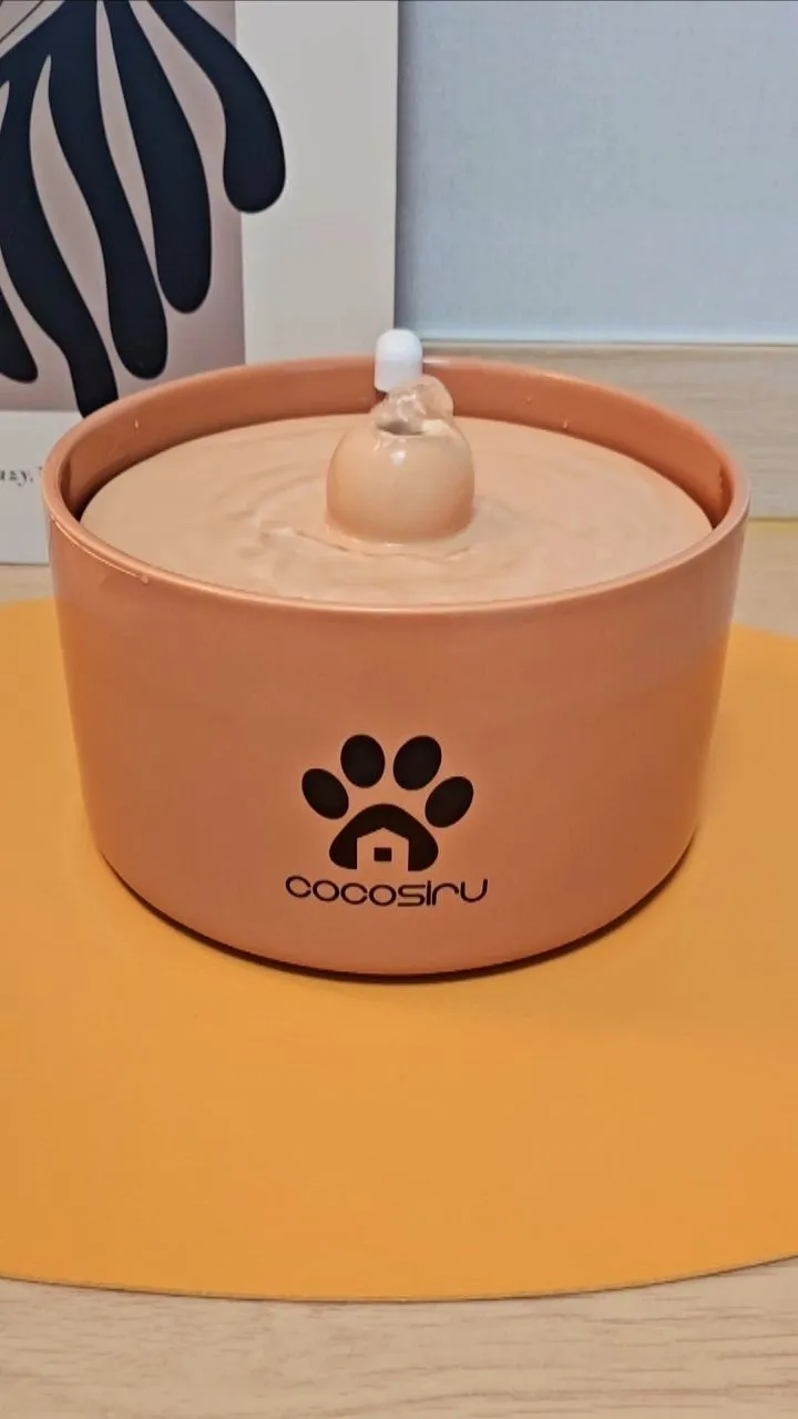 1번째 파일