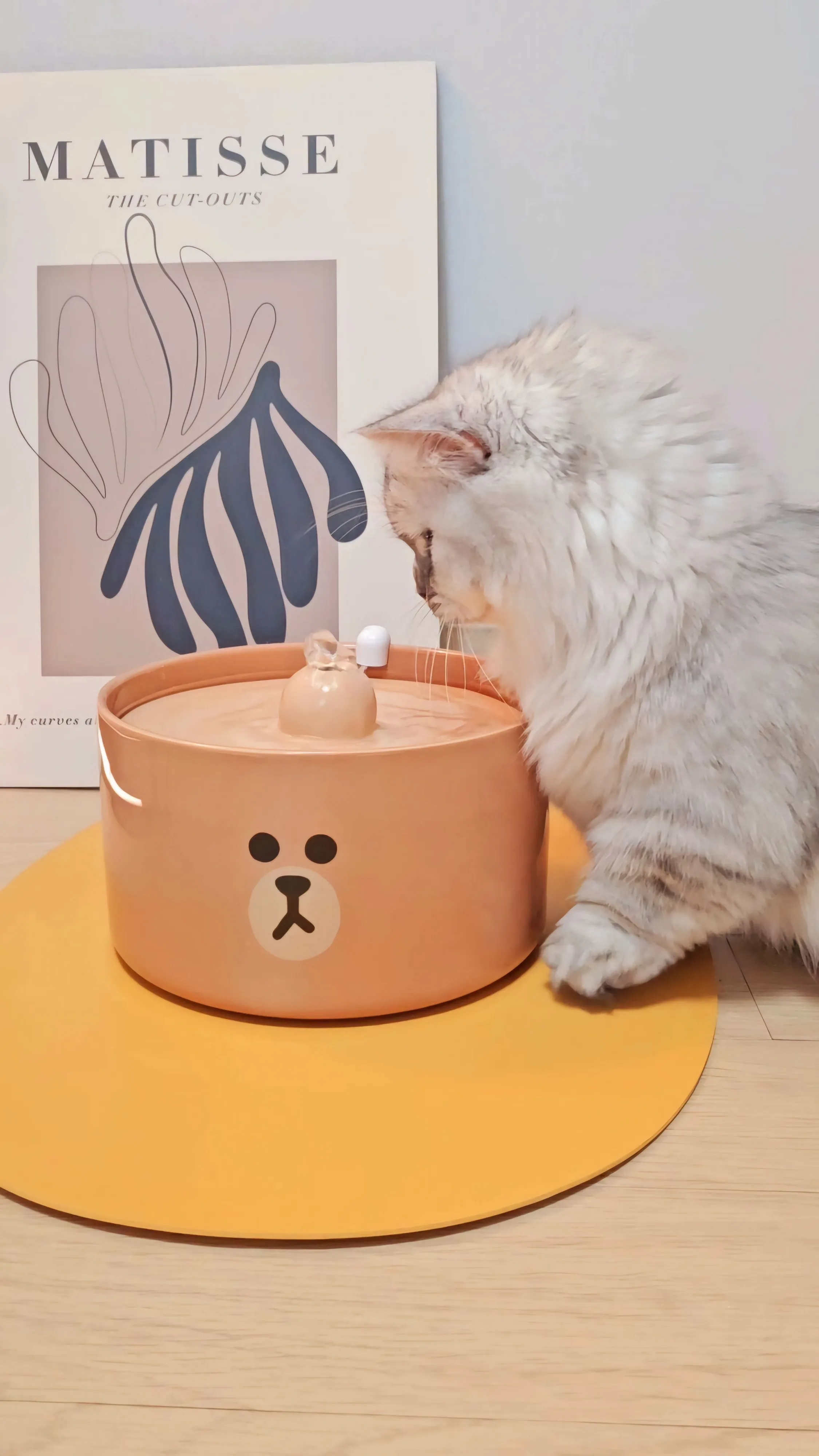 5번째 파일
