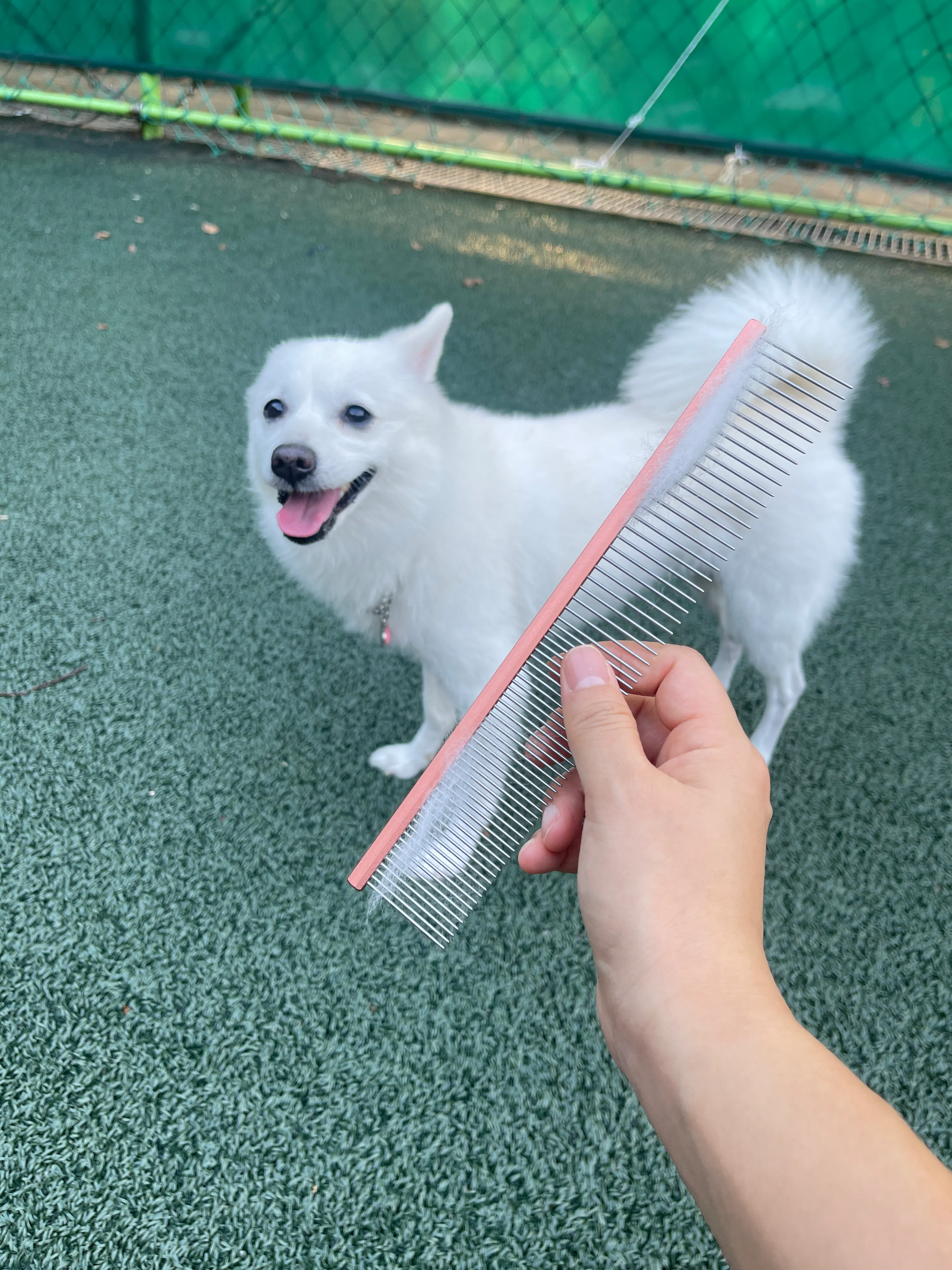 1번째 파일