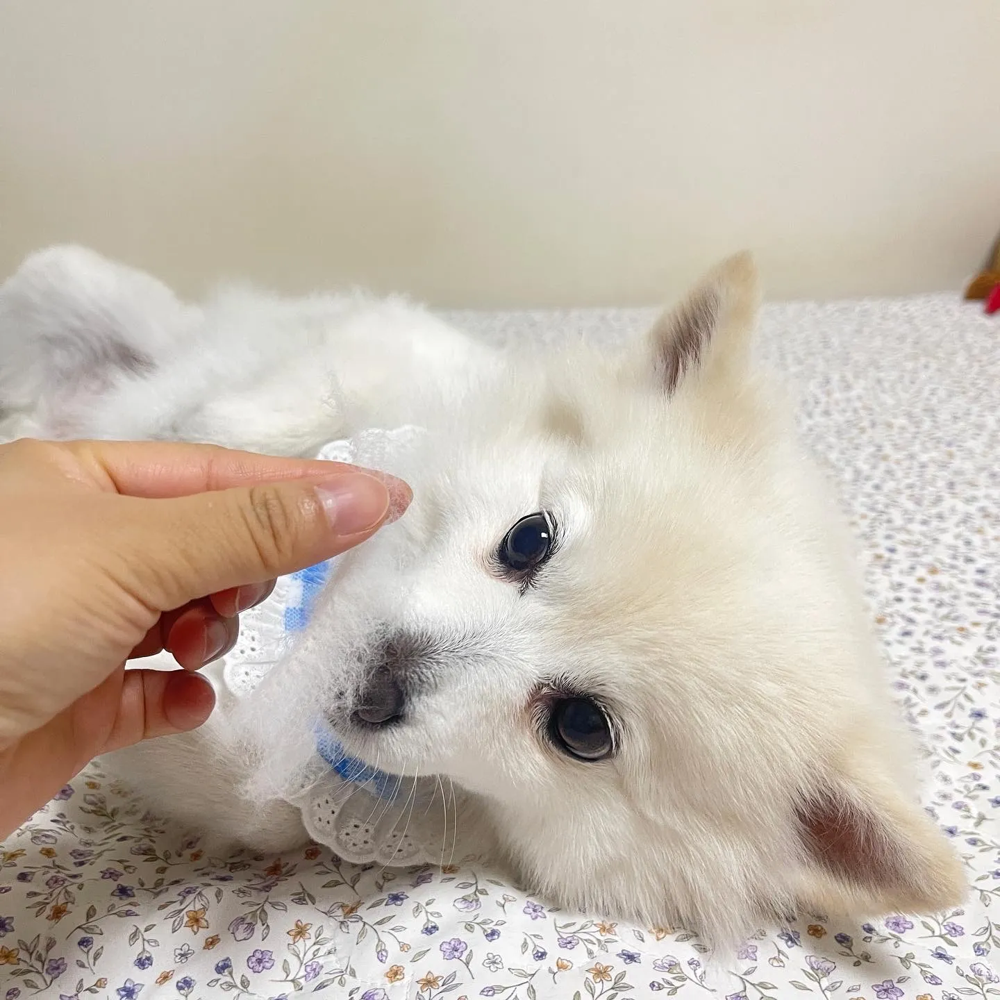 5번째 파일