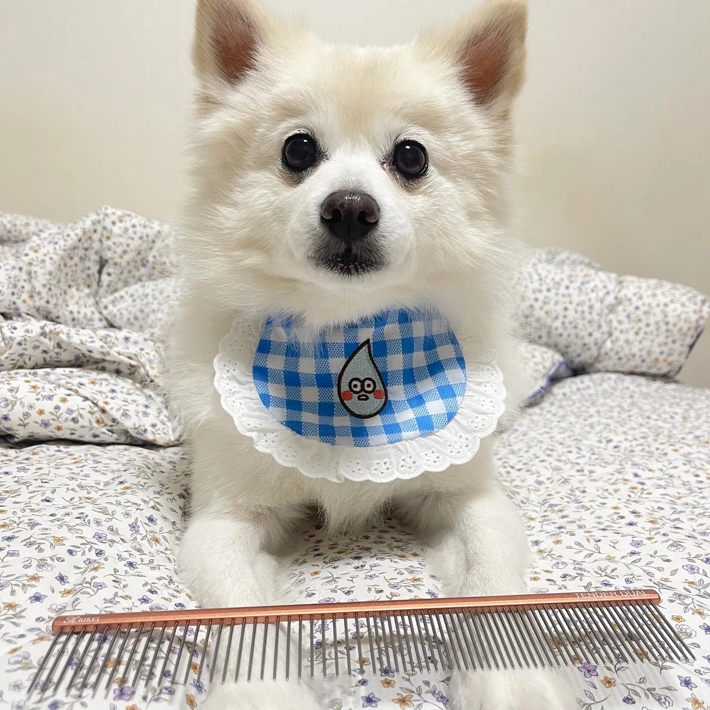 4번째 파일