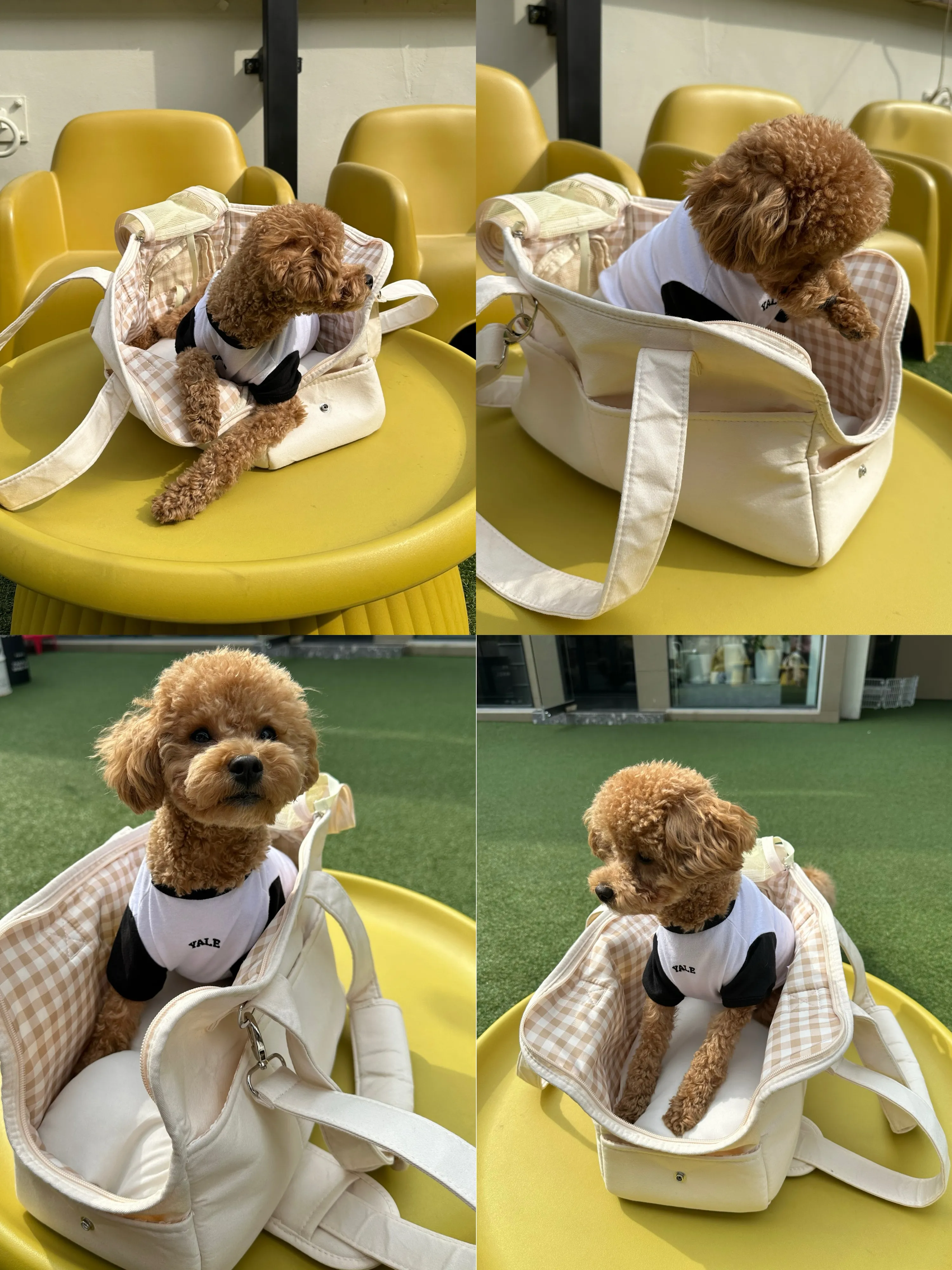 1번째 파일