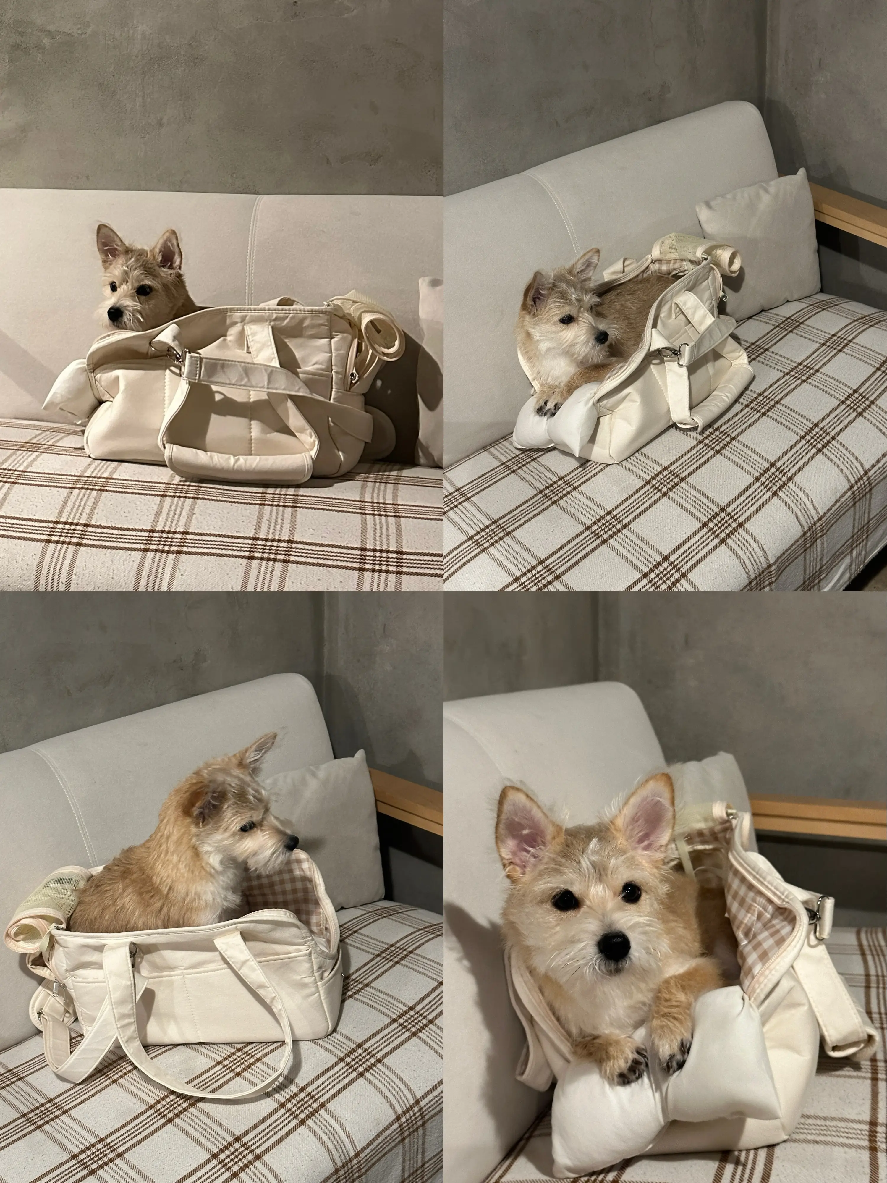 2번째 파일