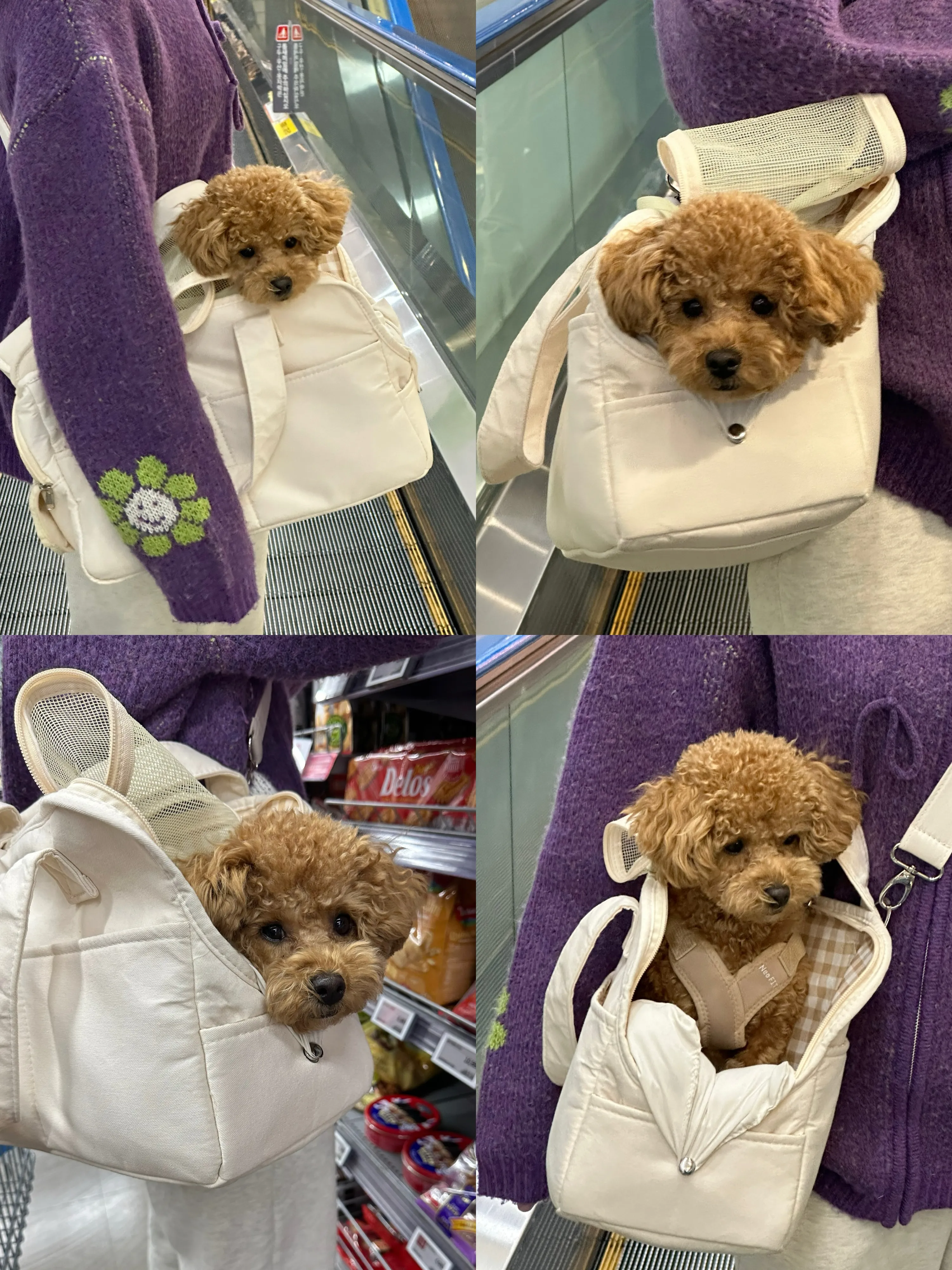 4번째 파일