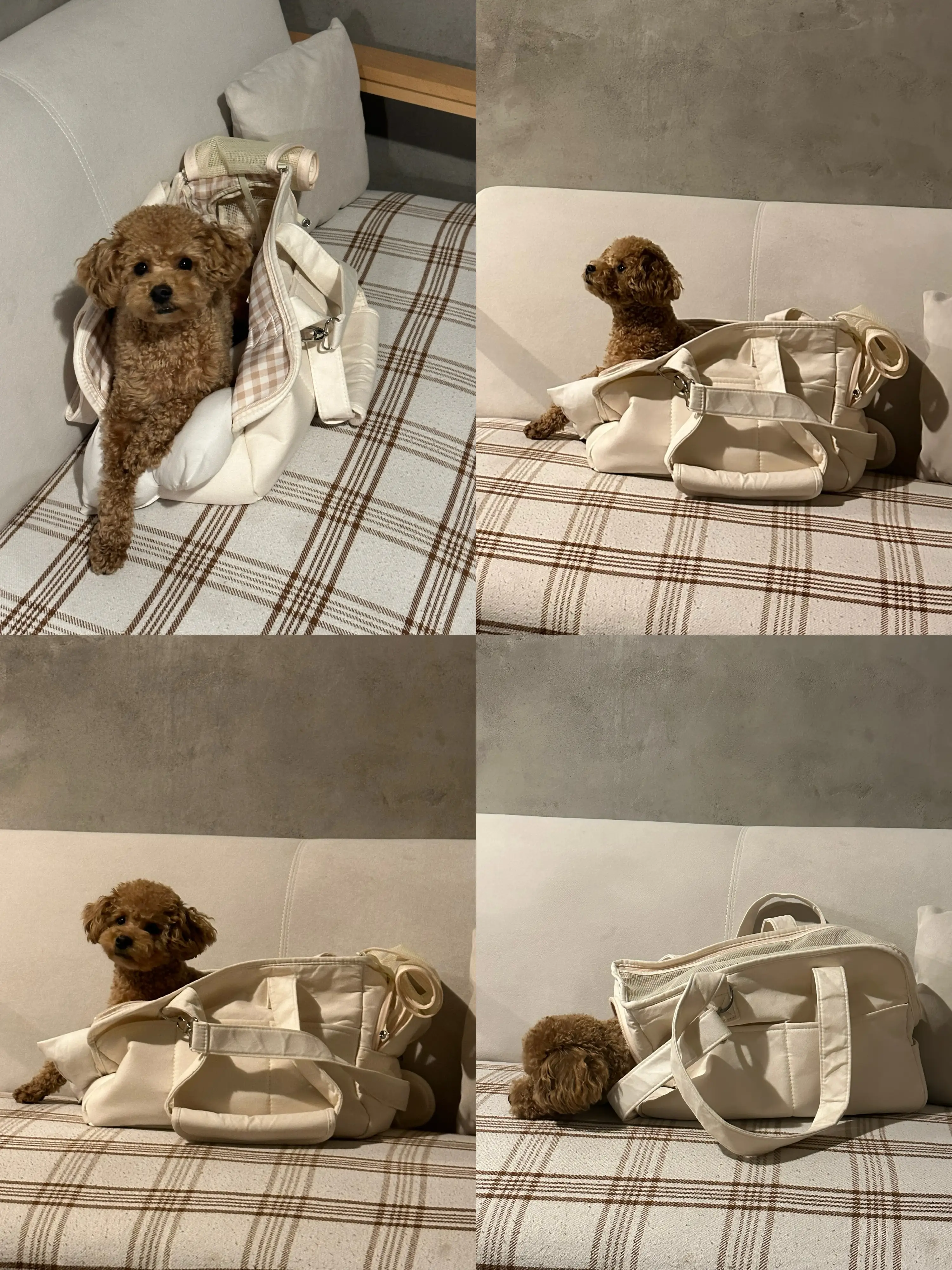 3번째 파일