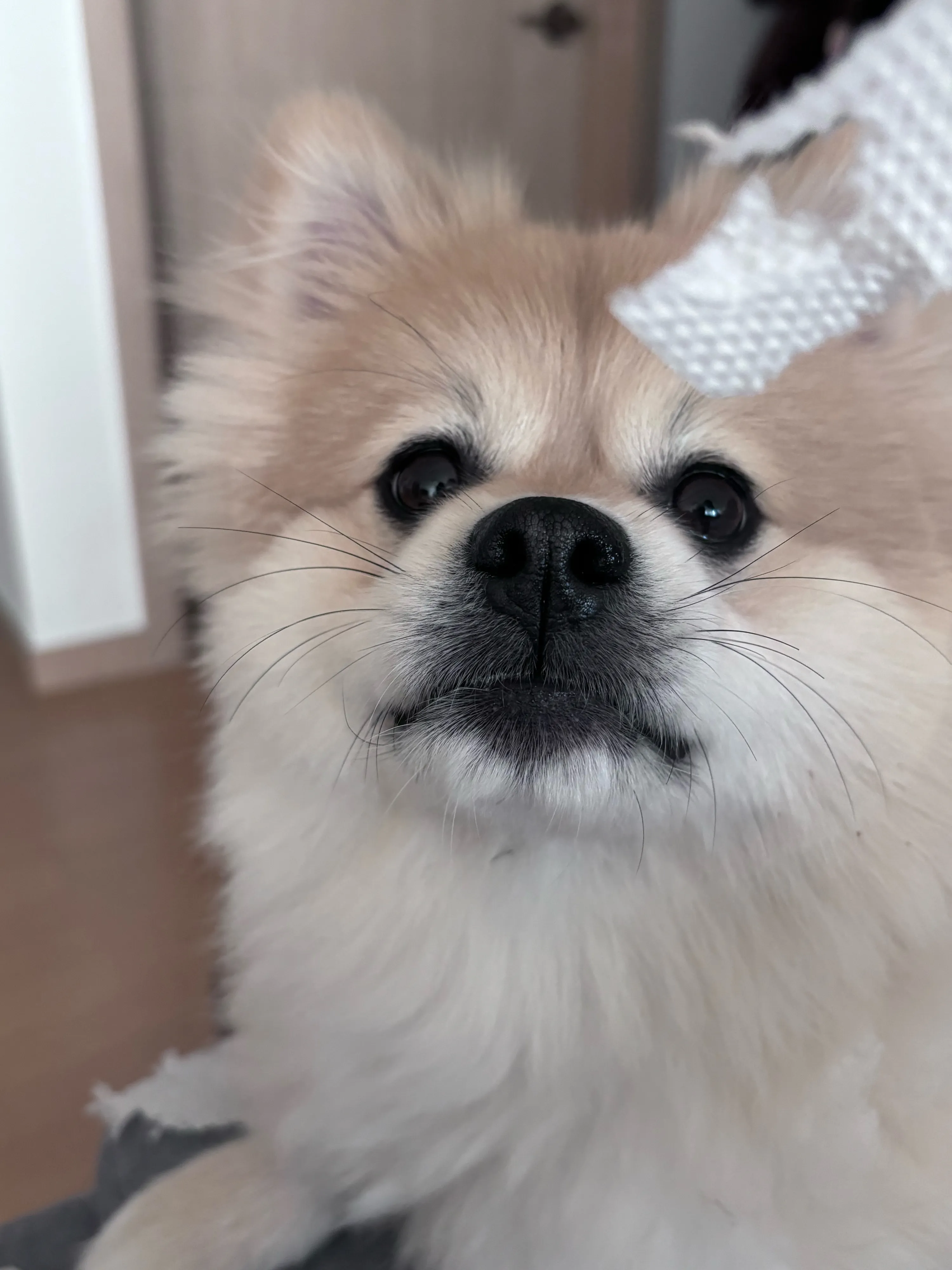 1번째 파일