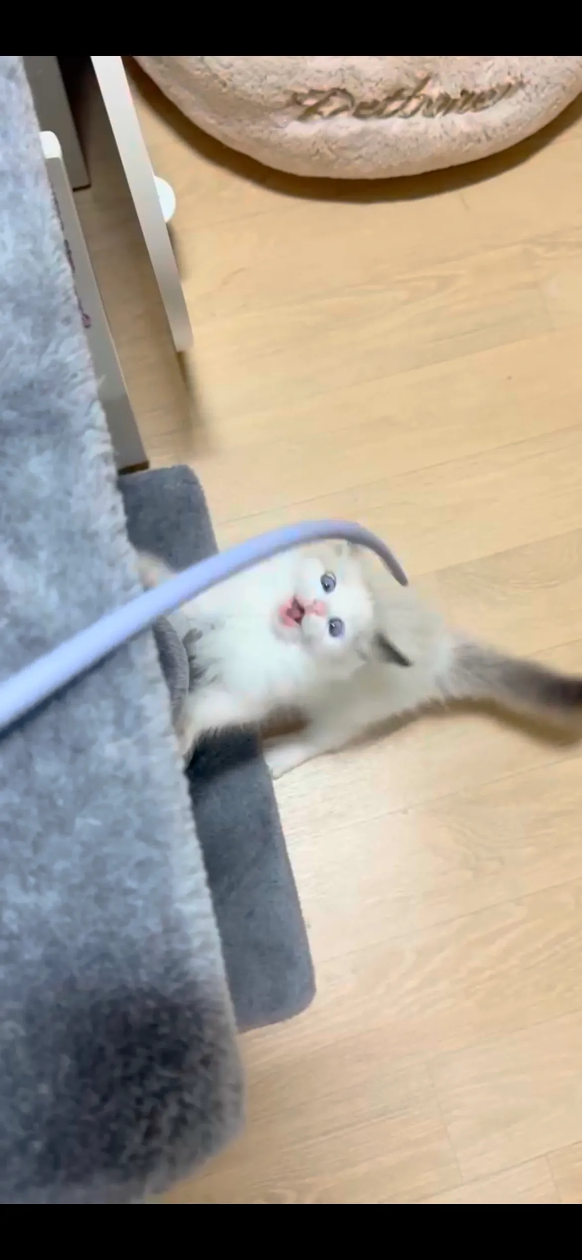 1번째 파일