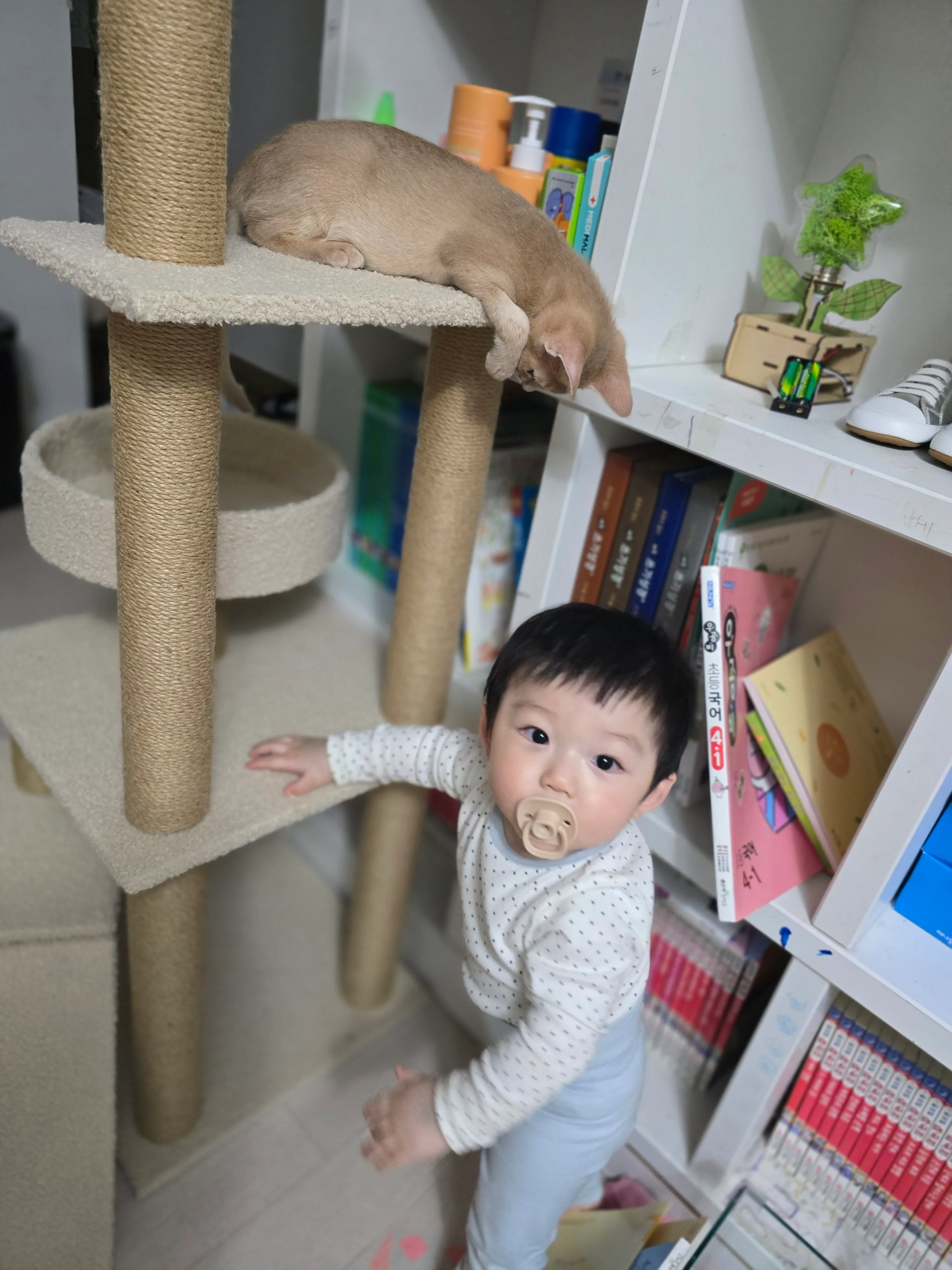 2번째 파일
