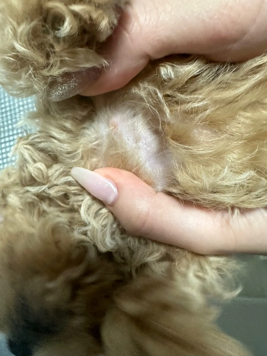 1번째 파일