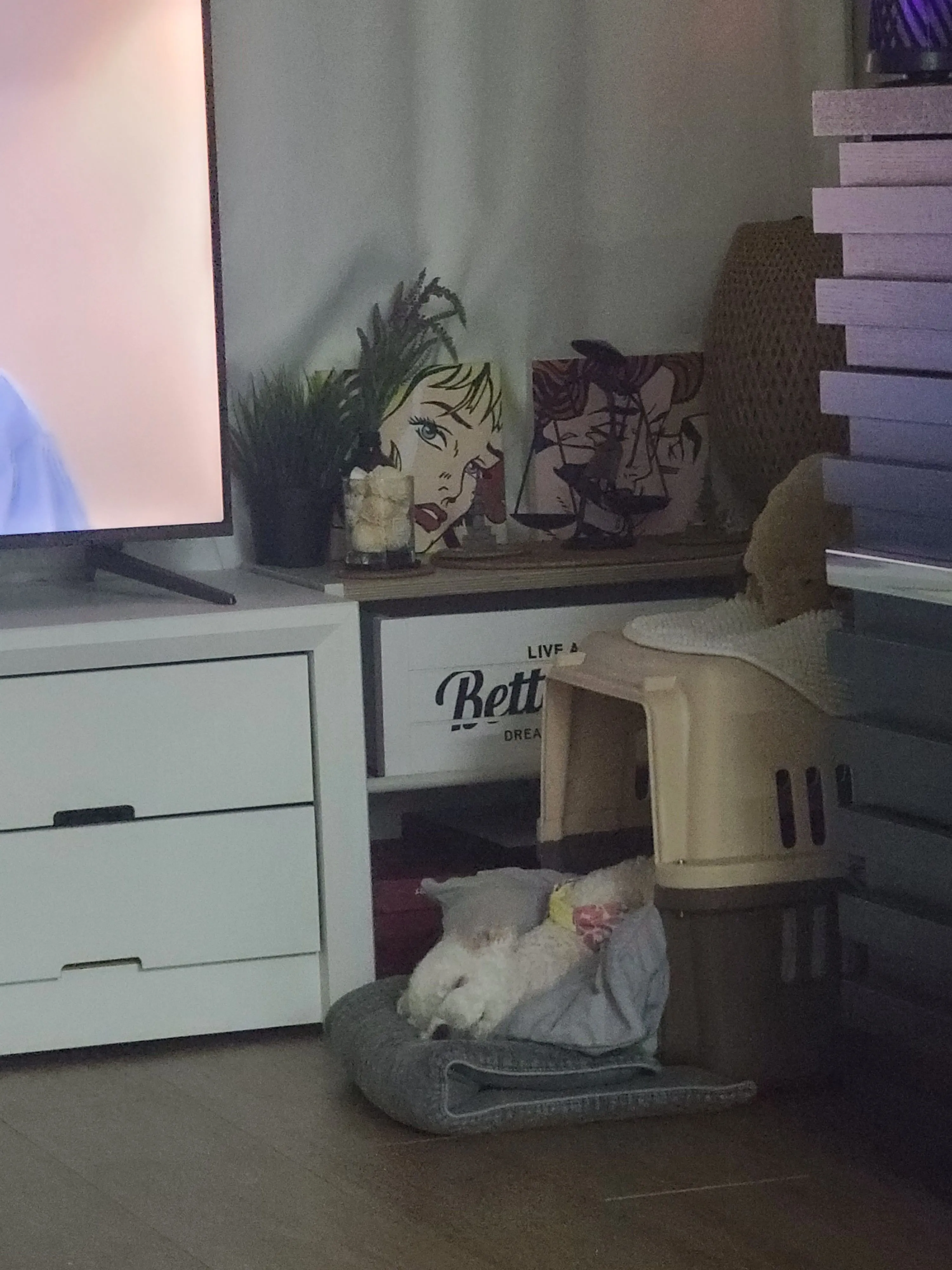 2번째 파일