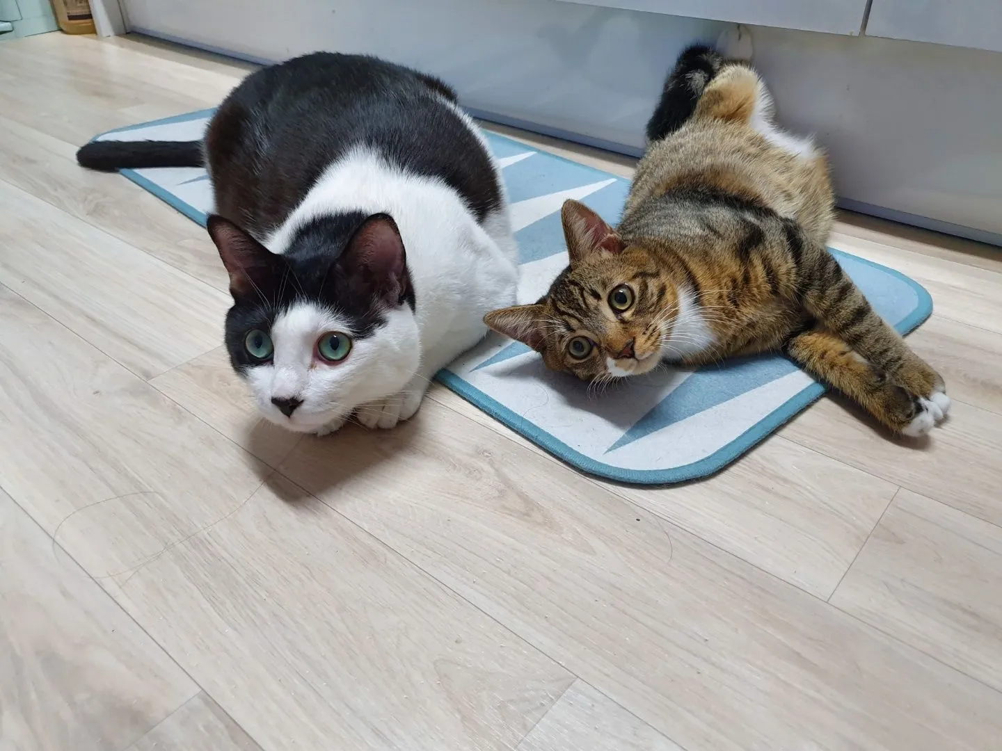 2번째 파일