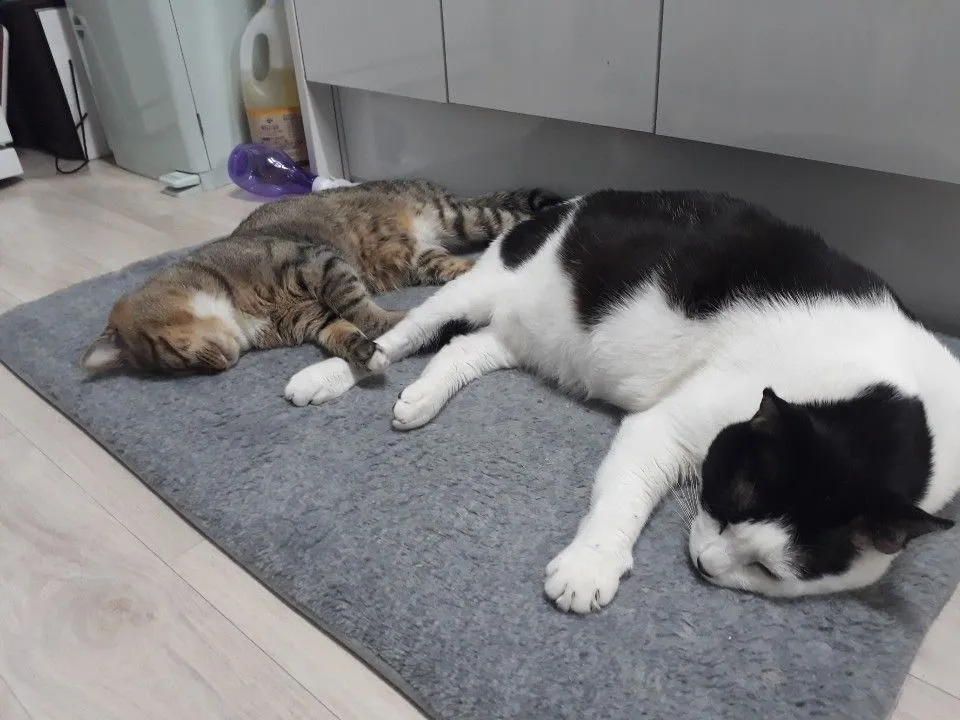 1번째 파일