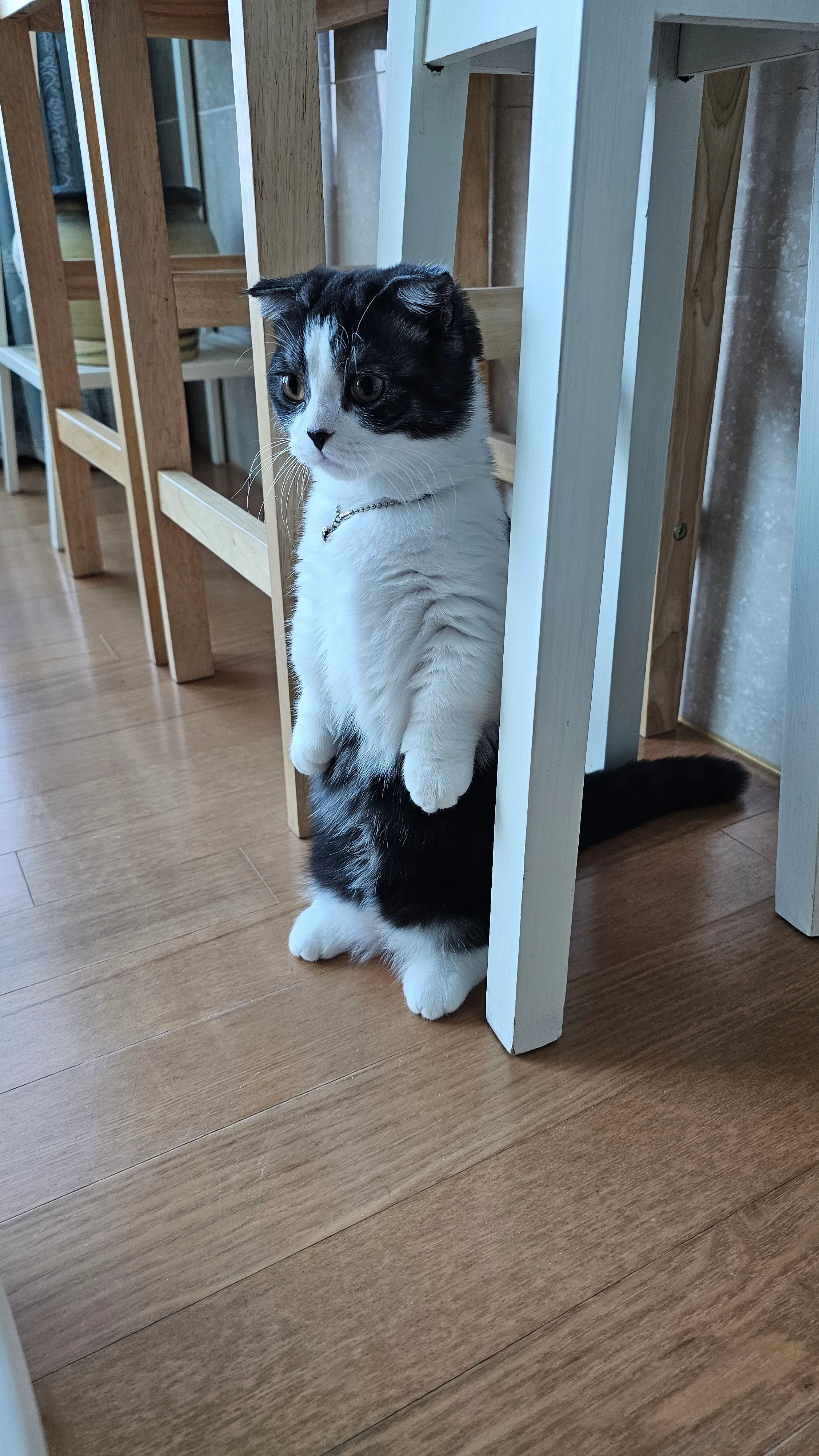 2번째 파일