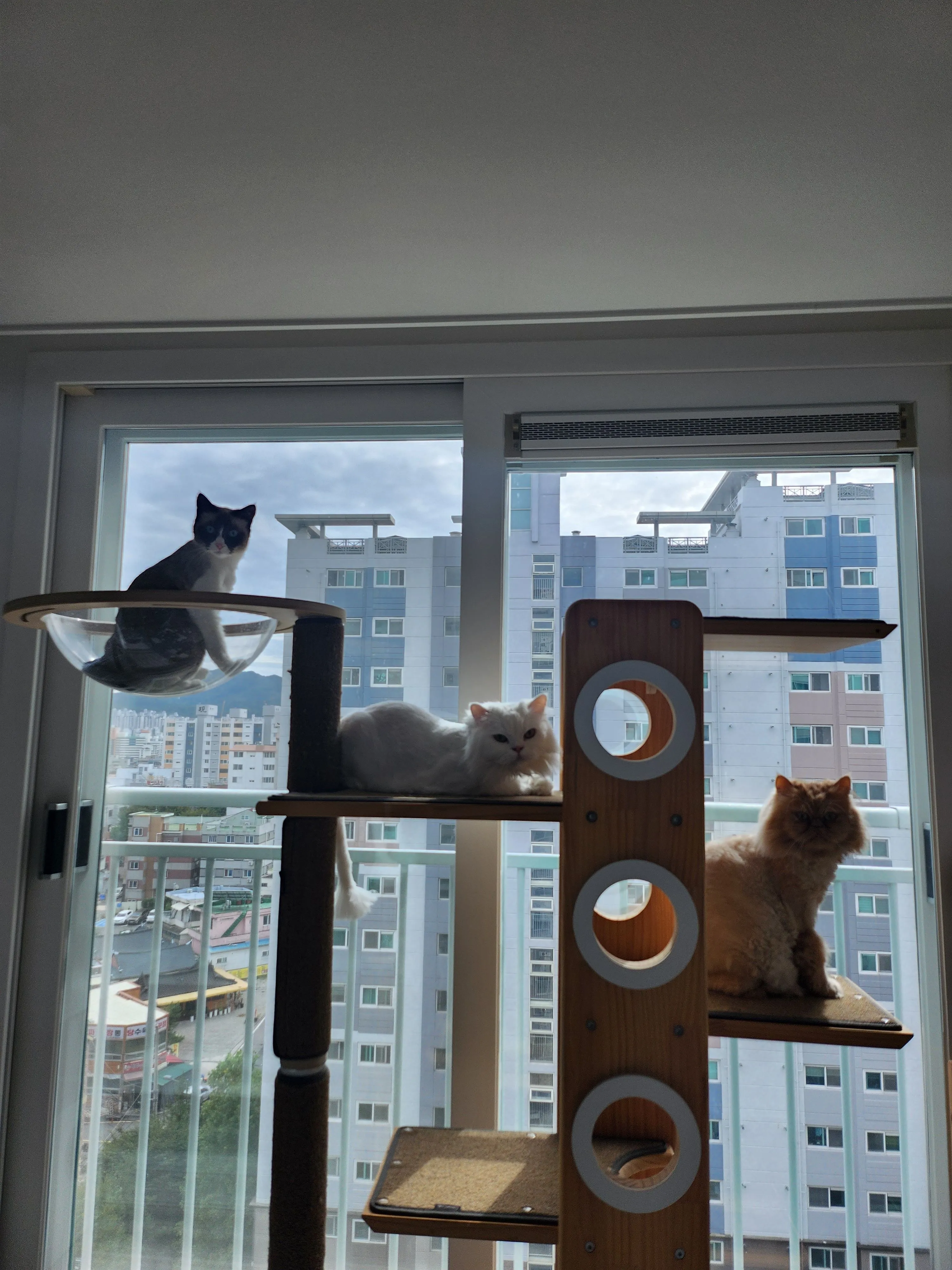 3번째 파일