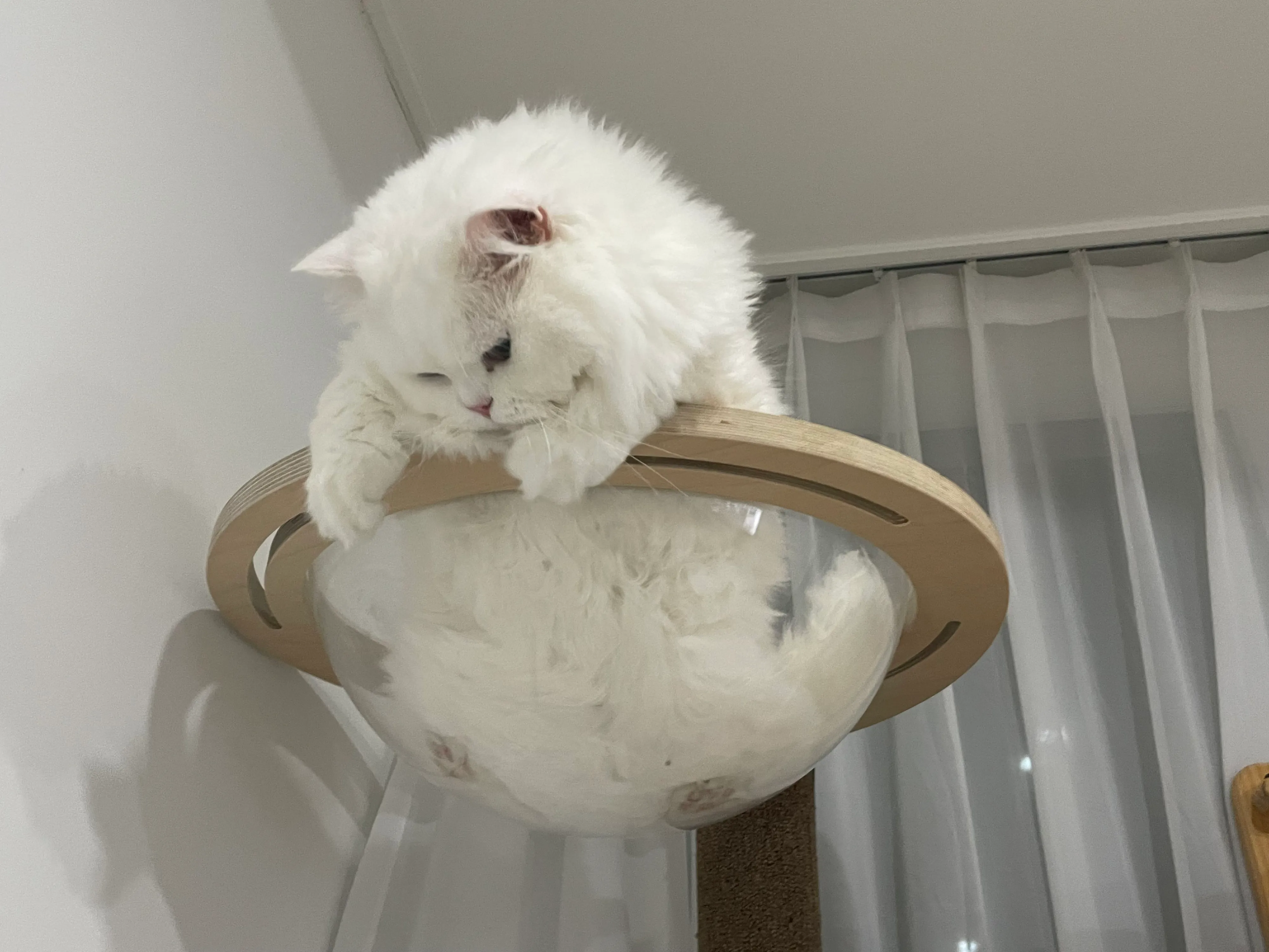 1번째 파일